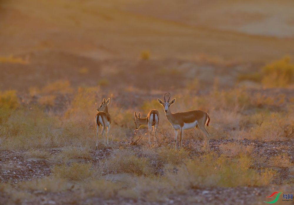 DSC_1104.JPG