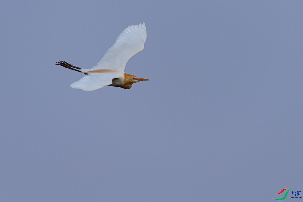 DSC_3309a.jpg