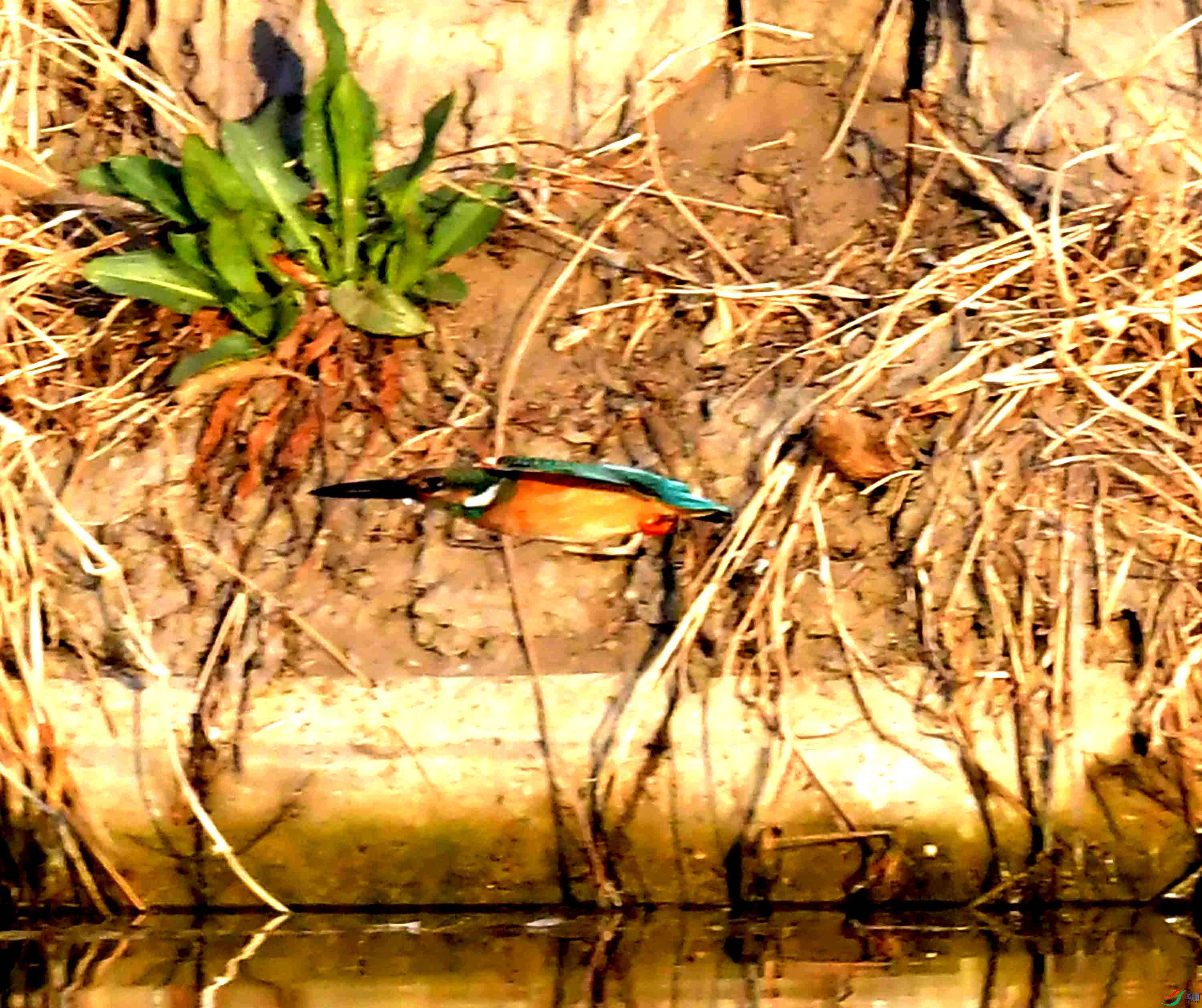 DSC_6807.JPG