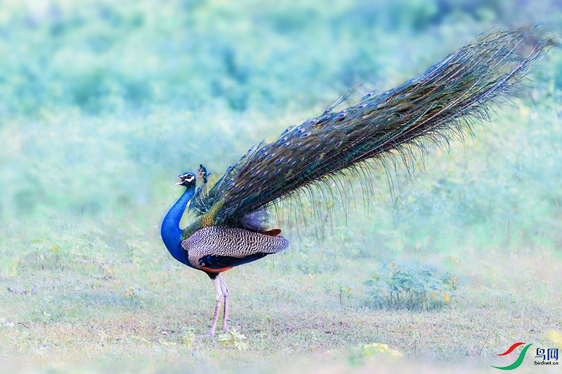 �̿�ȸ----�ۼ�һ�����°�