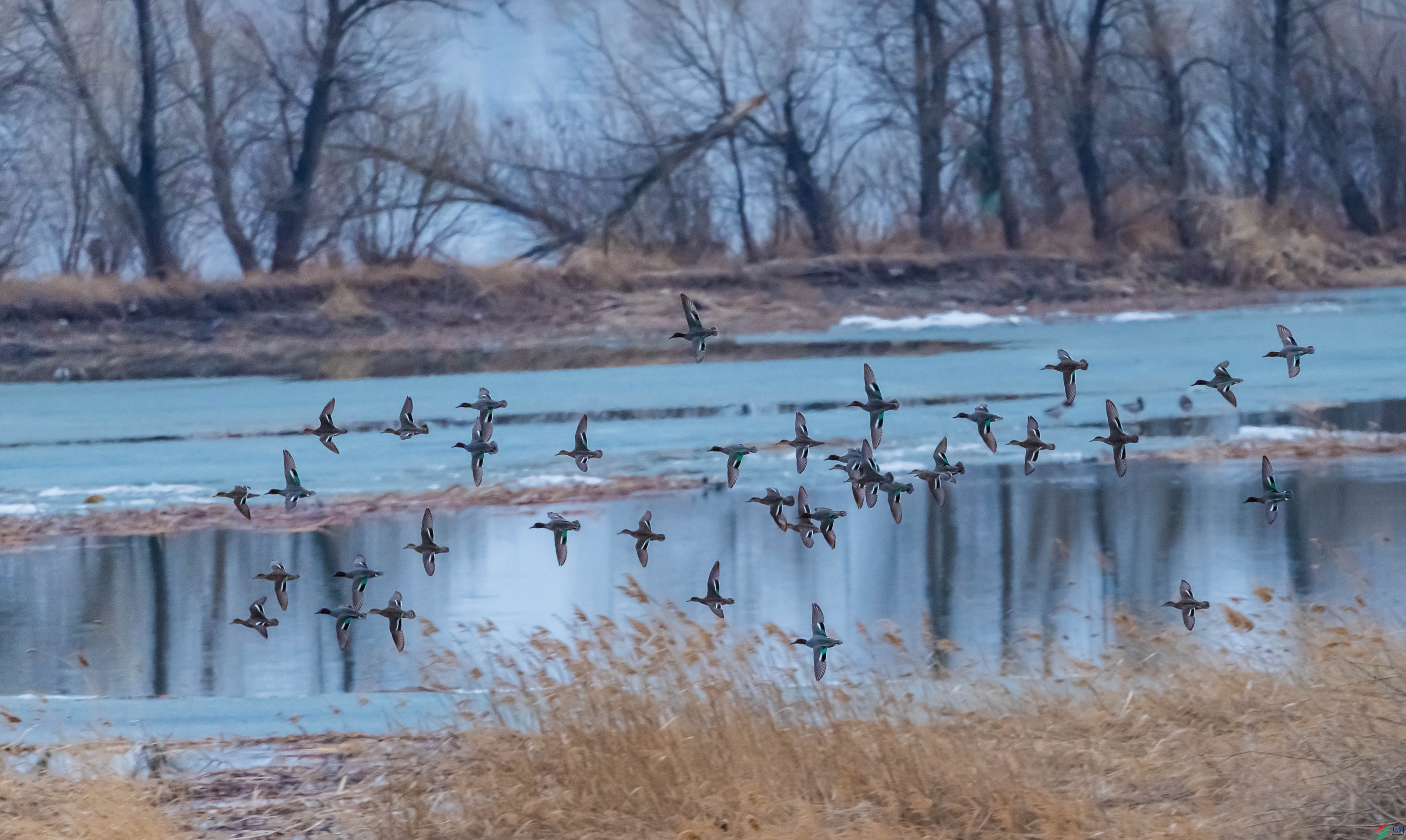 ���ش��ҰѼ��