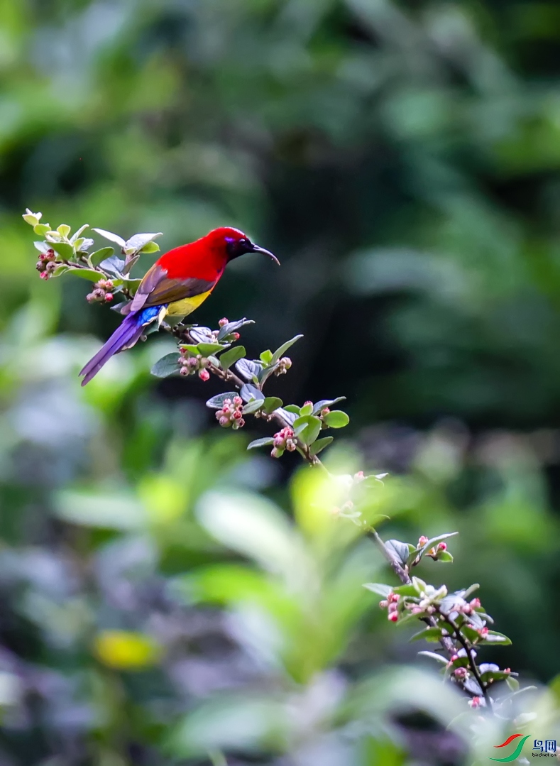 ���ڻ�֮��     ����̫����