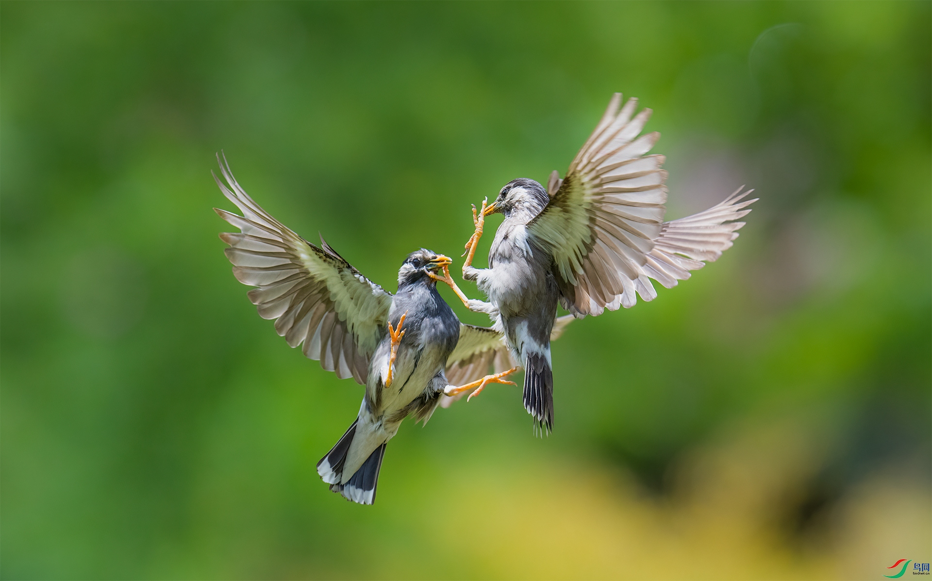 _DSC4500-1_����_����.jpg