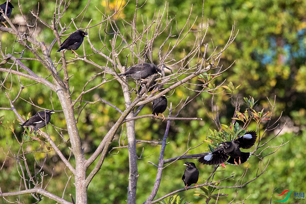 DSC_4511().jpg