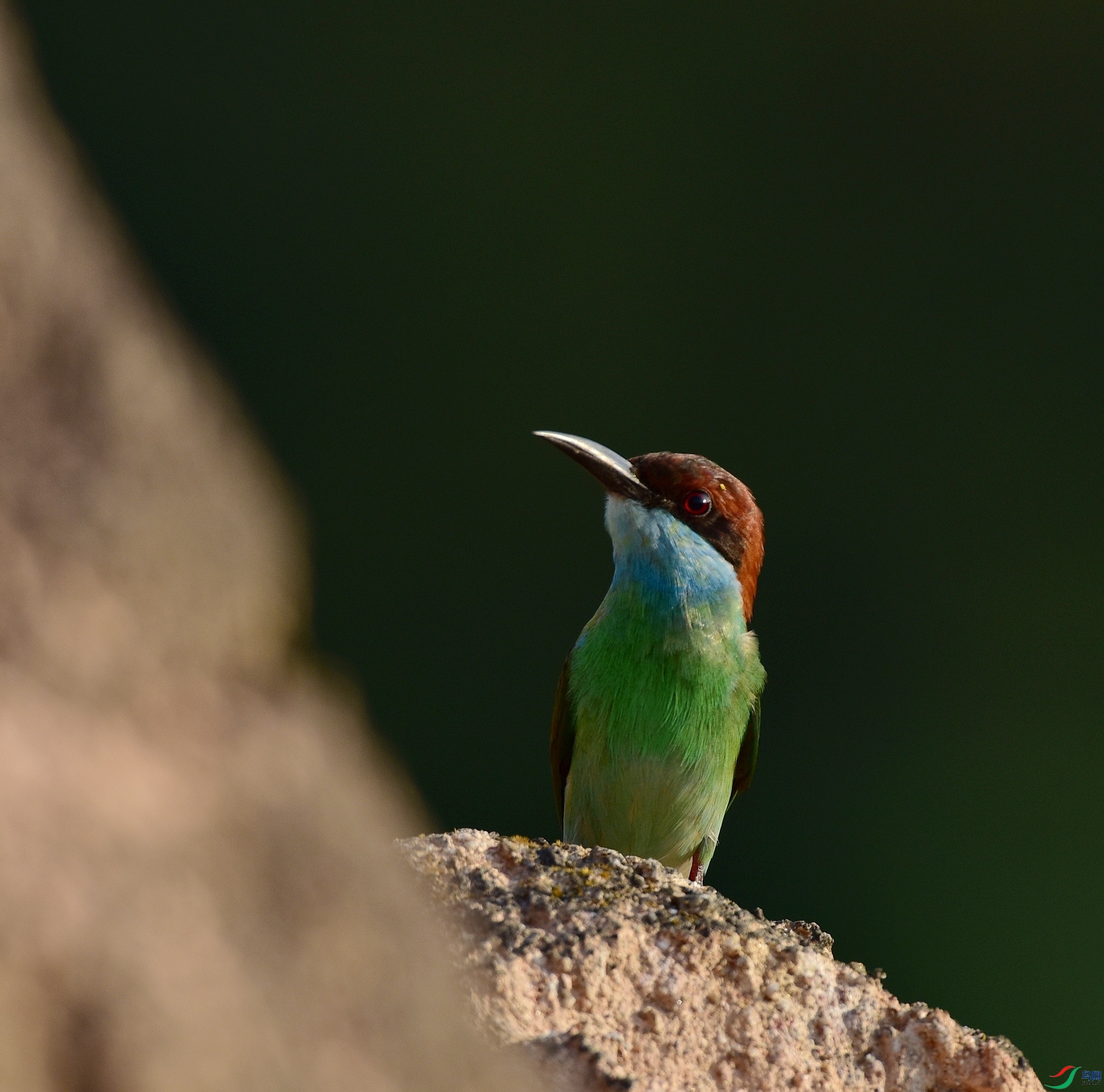 D8I_5602.jpg