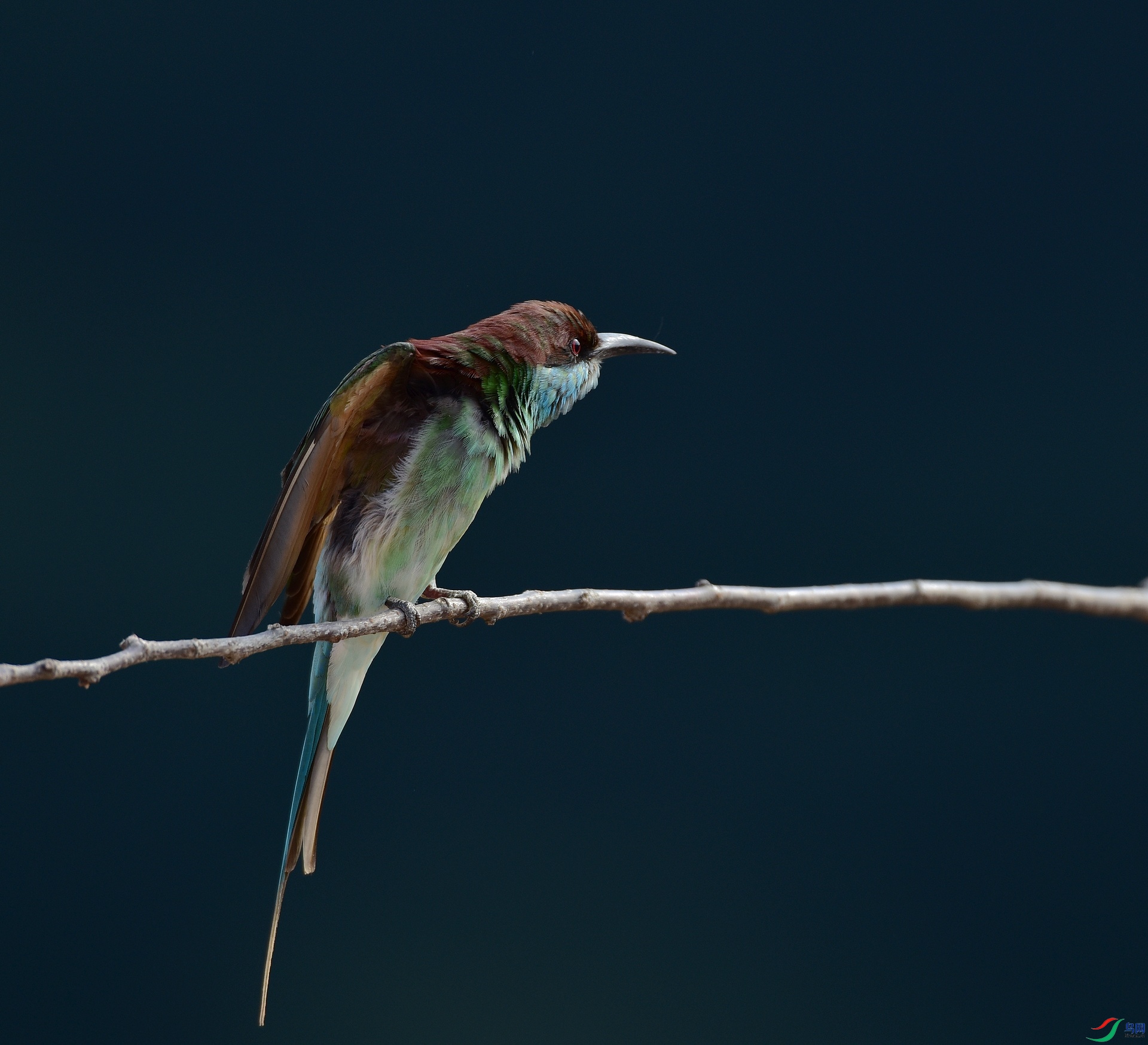 D8I_5045.jpg