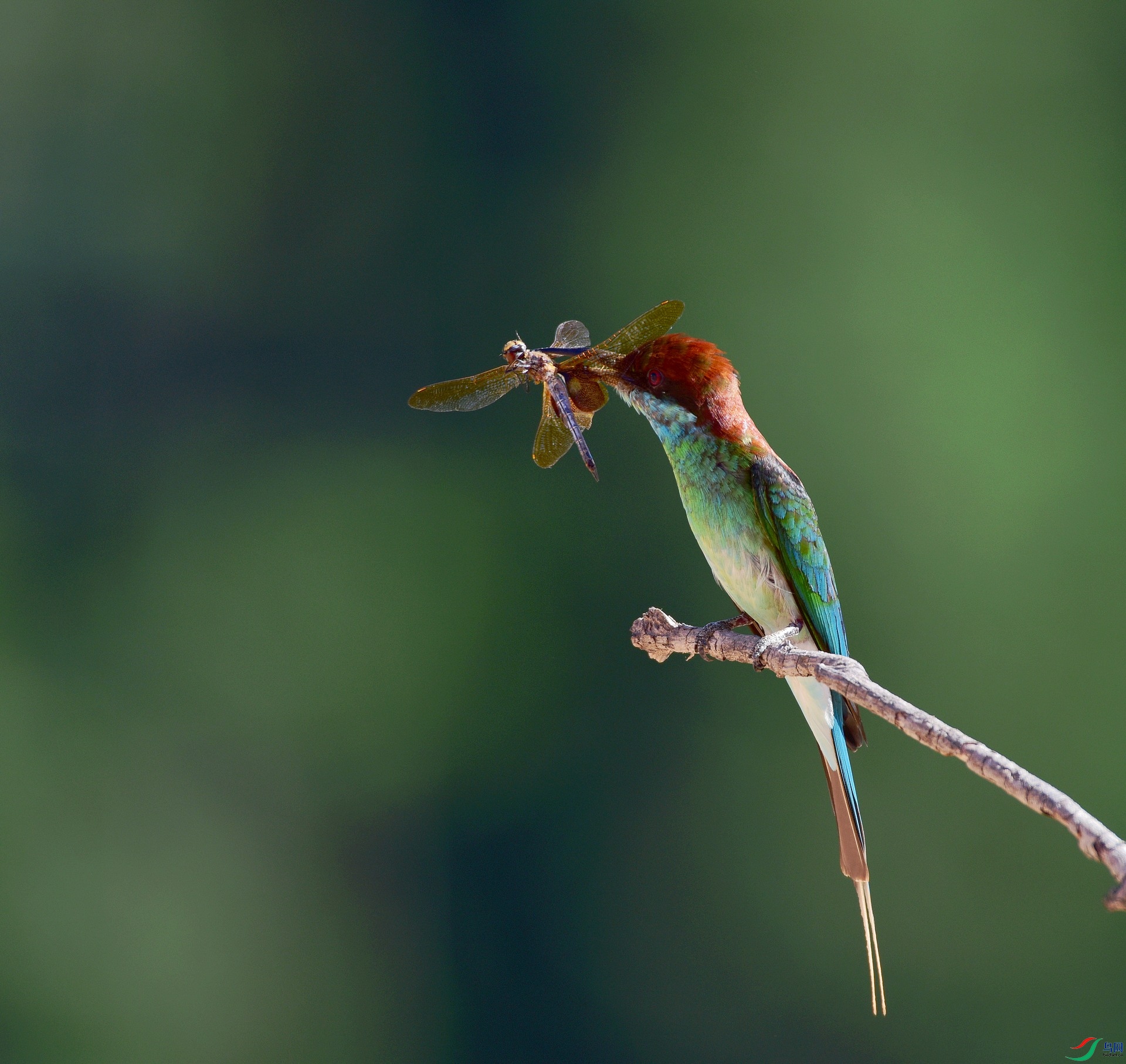 D8I_5070.jpg
