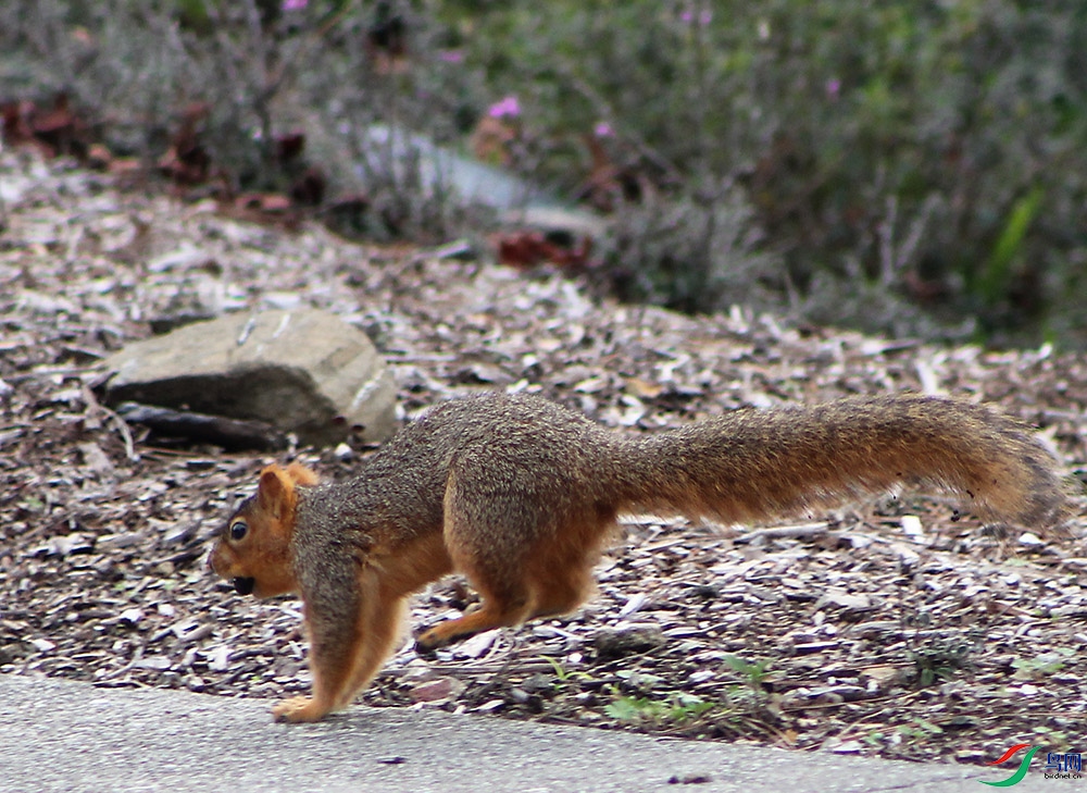IMG_6356.1.JPG