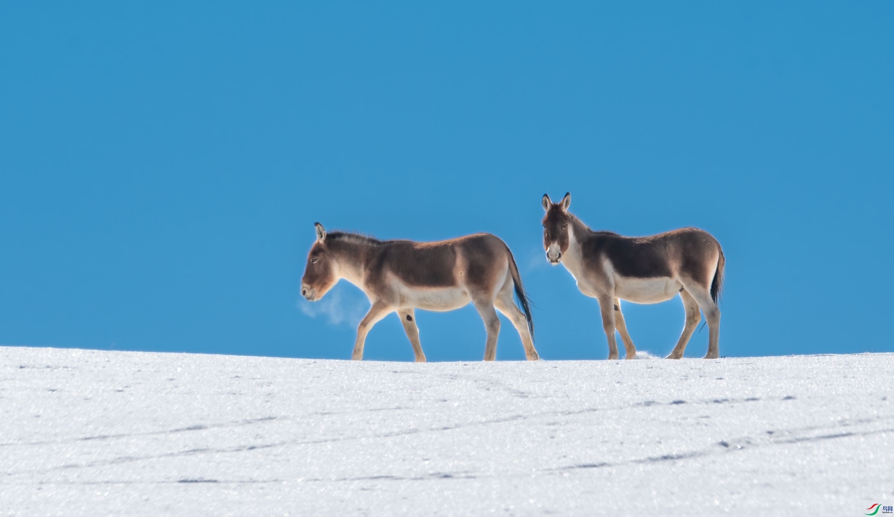 DSC_7348-2.jpg
