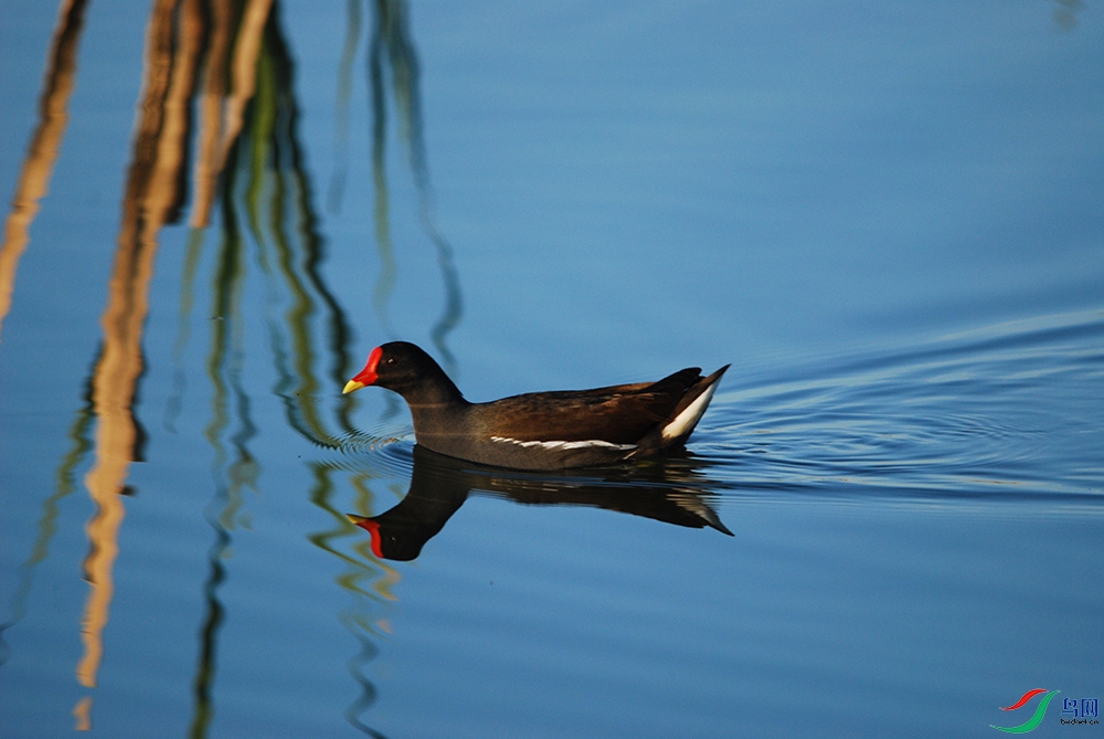 DSC_2469.jpg