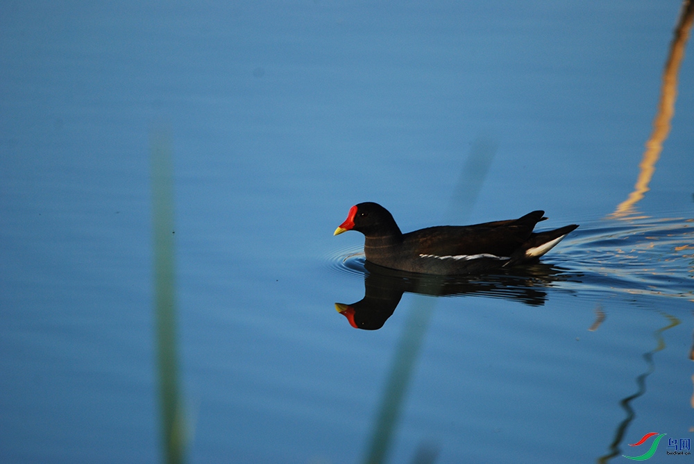 DSC_2471.jpg
