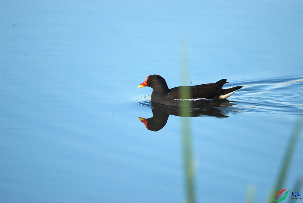 DSC_2473.jpg