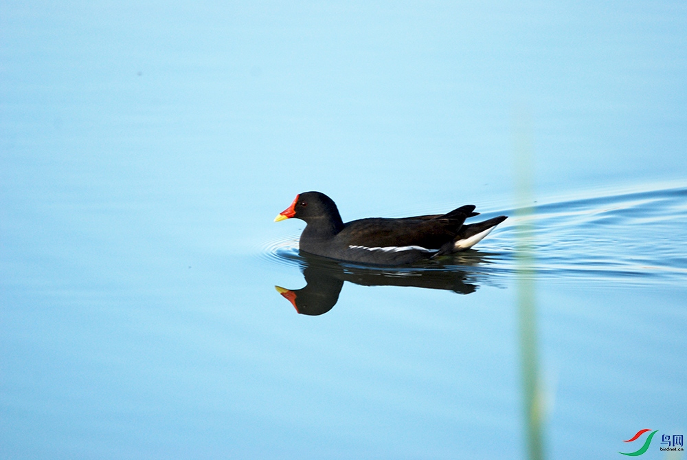 DSC_2474.jpg