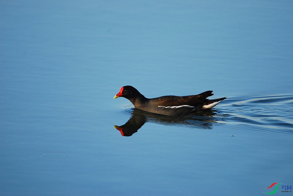 DSC_2478.jpg