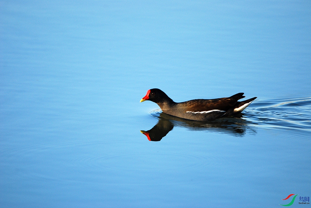 DSC_2479.jpg