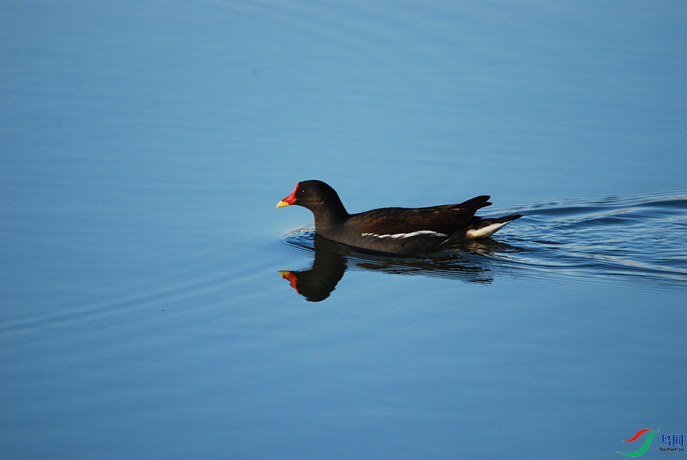 DSC_2481.jpg