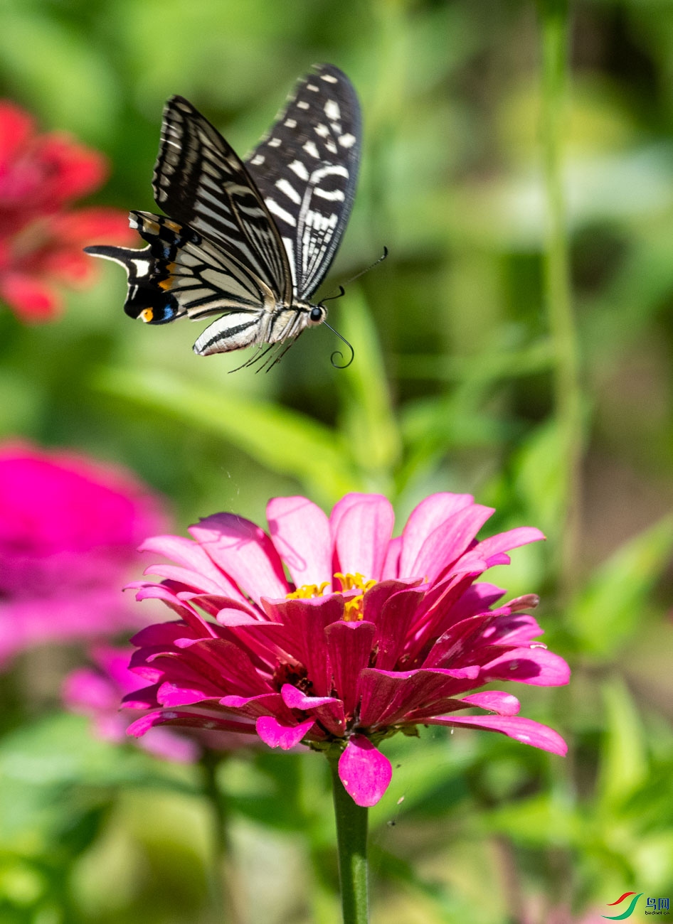 DSC_3812.jpg