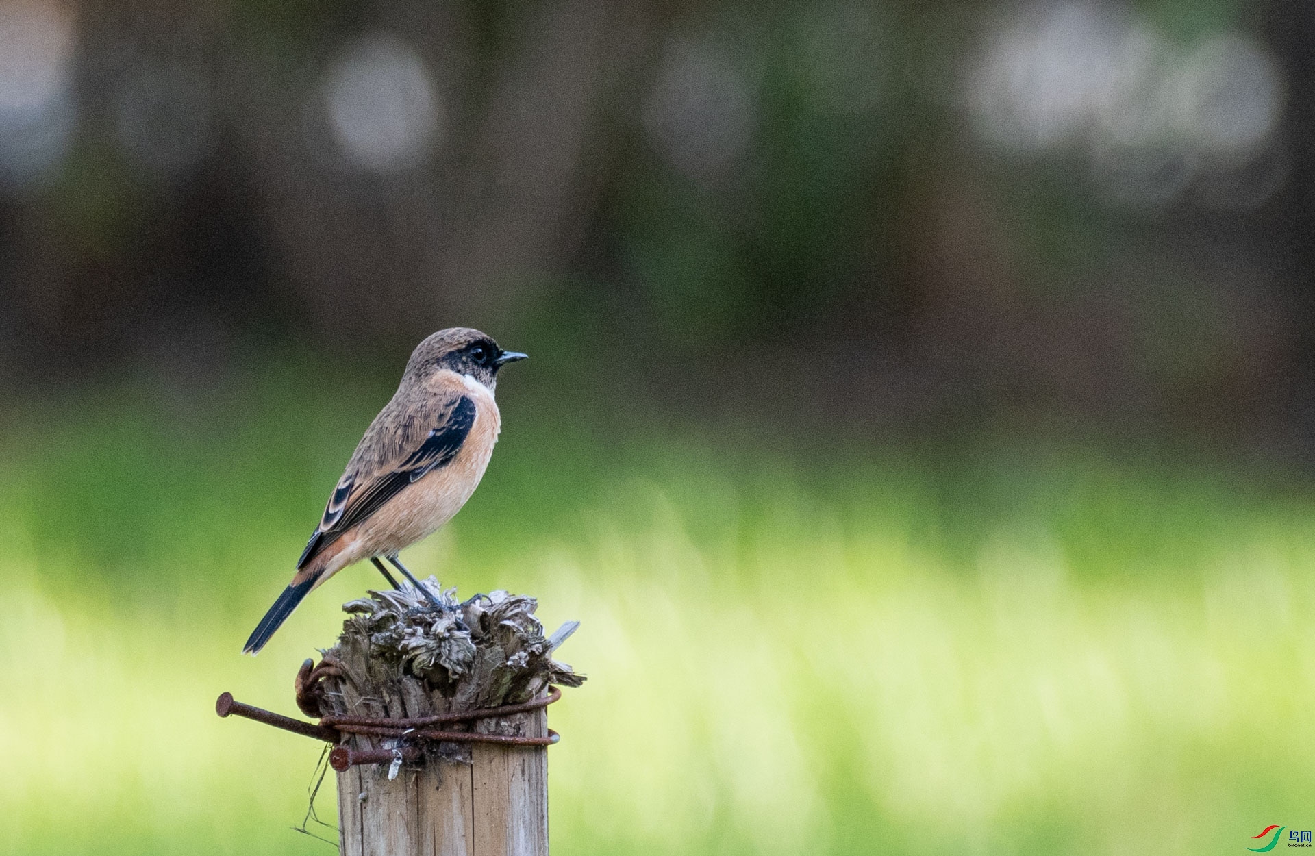 DSC_5144.jpg