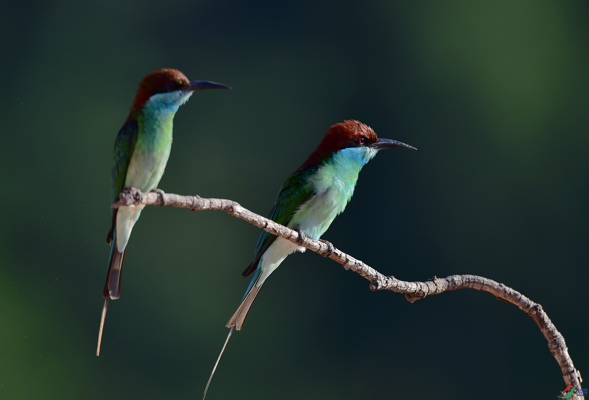 D8I_3855.jpg
