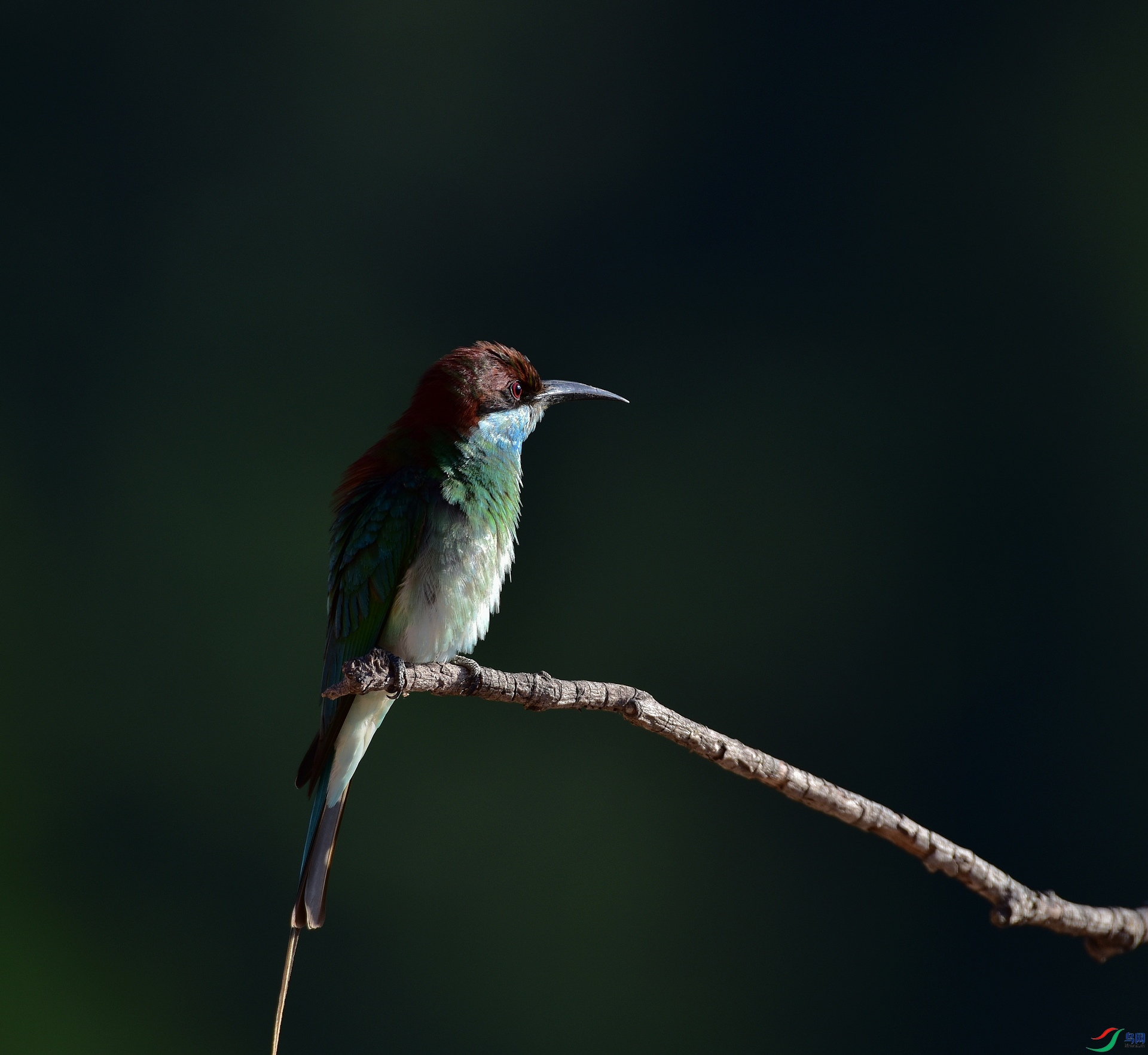 D8I_3909.jpg