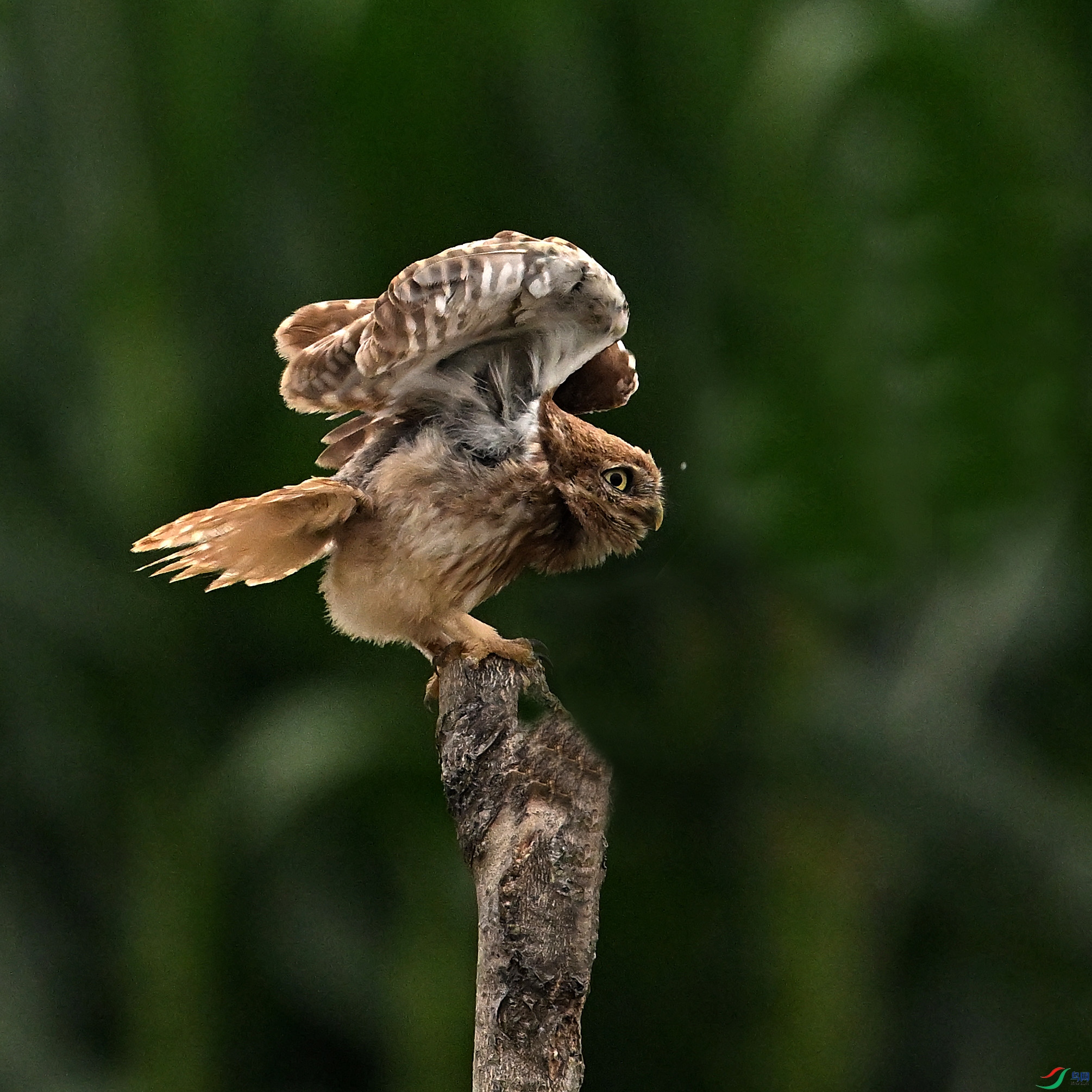 DSC_5073.jpg