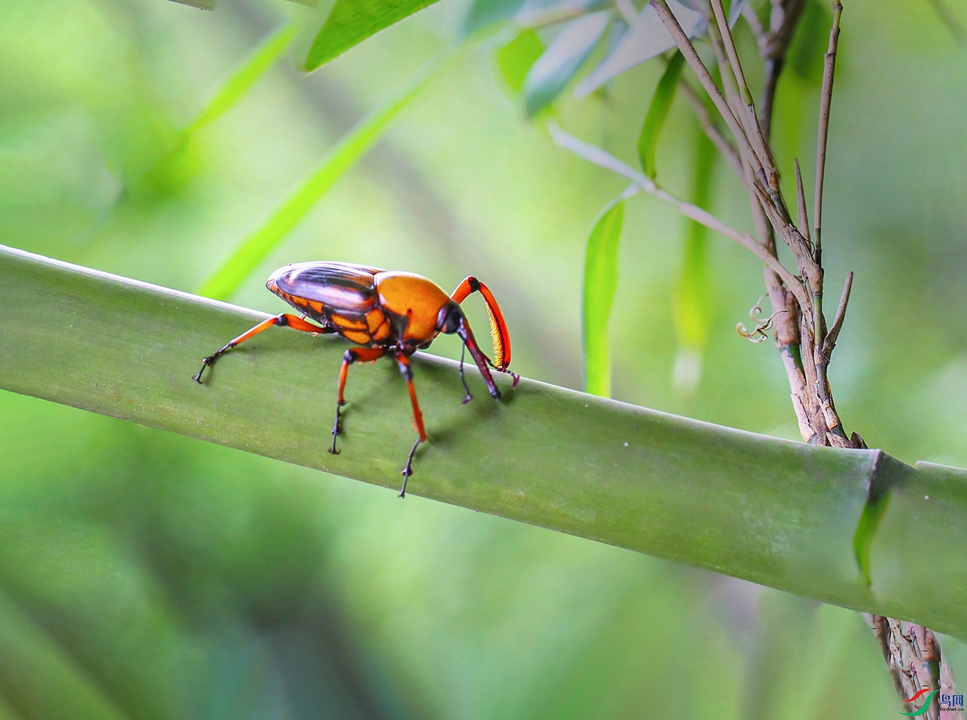 00000108����500k0������ ����.jpg