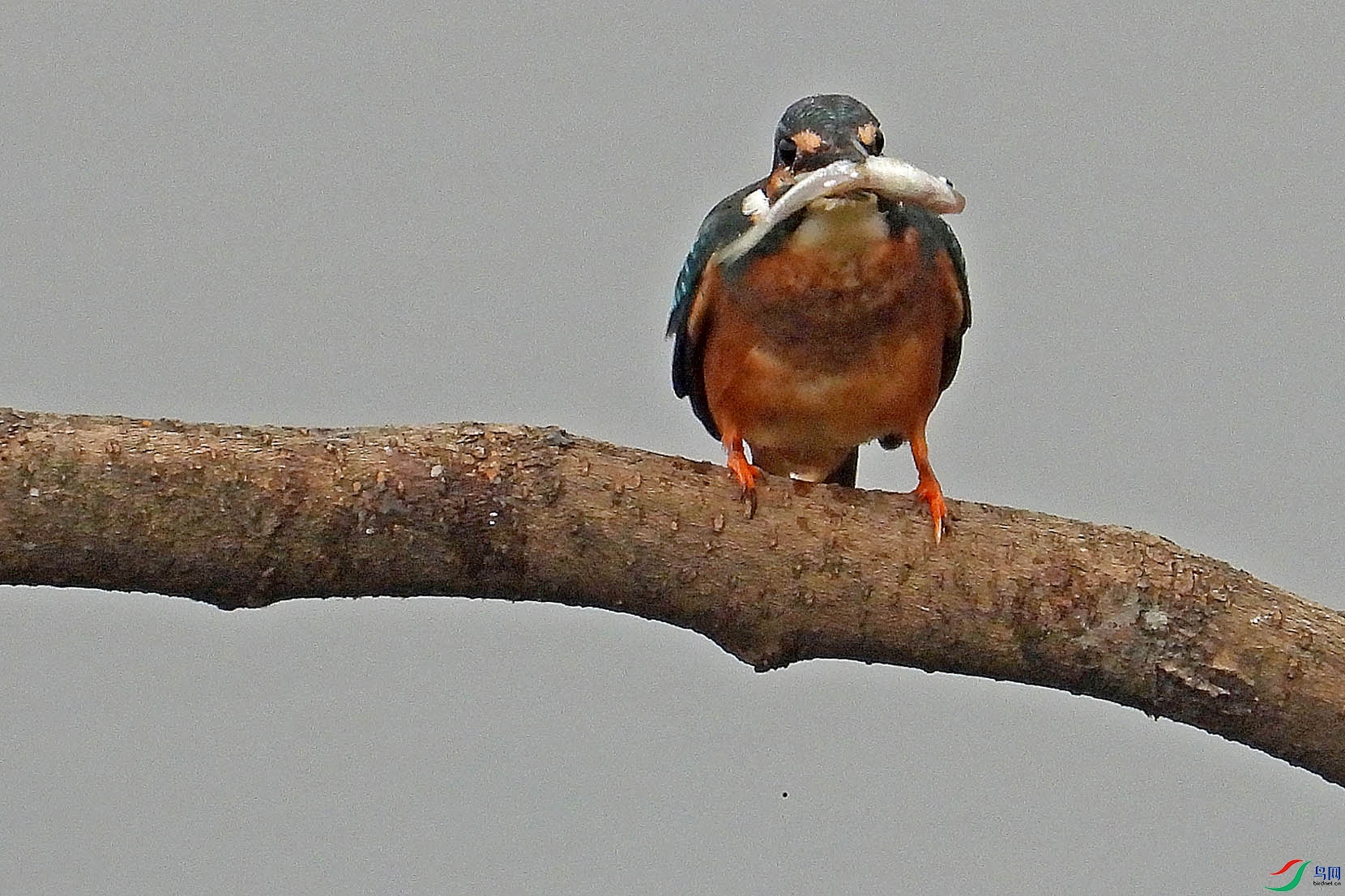 DSCN5764.jpg
