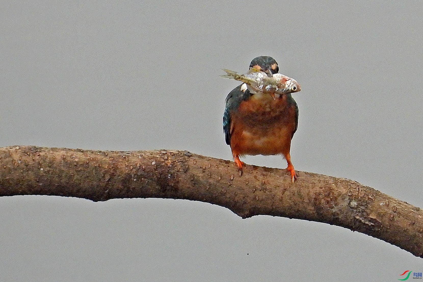 DSCN5765.jpg