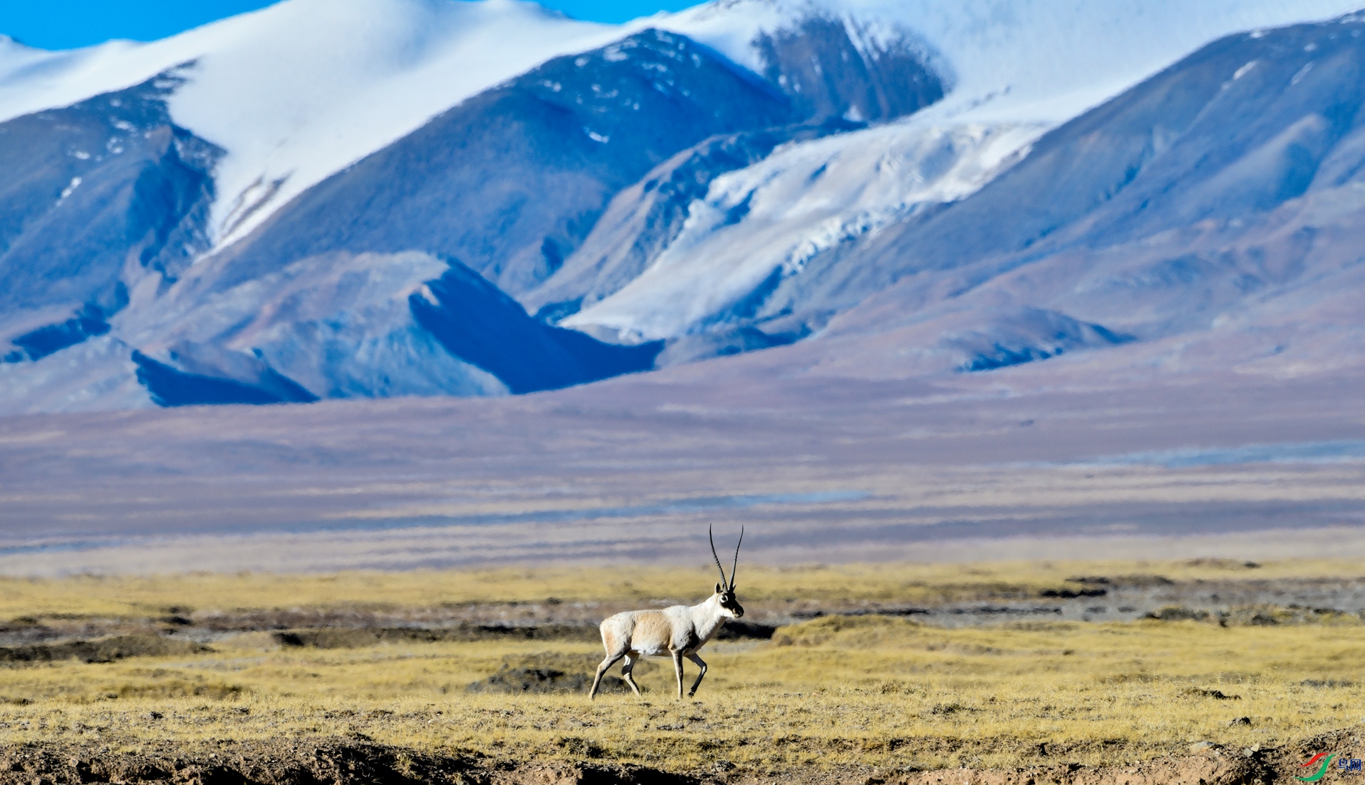 _DSC2636_����.jpg