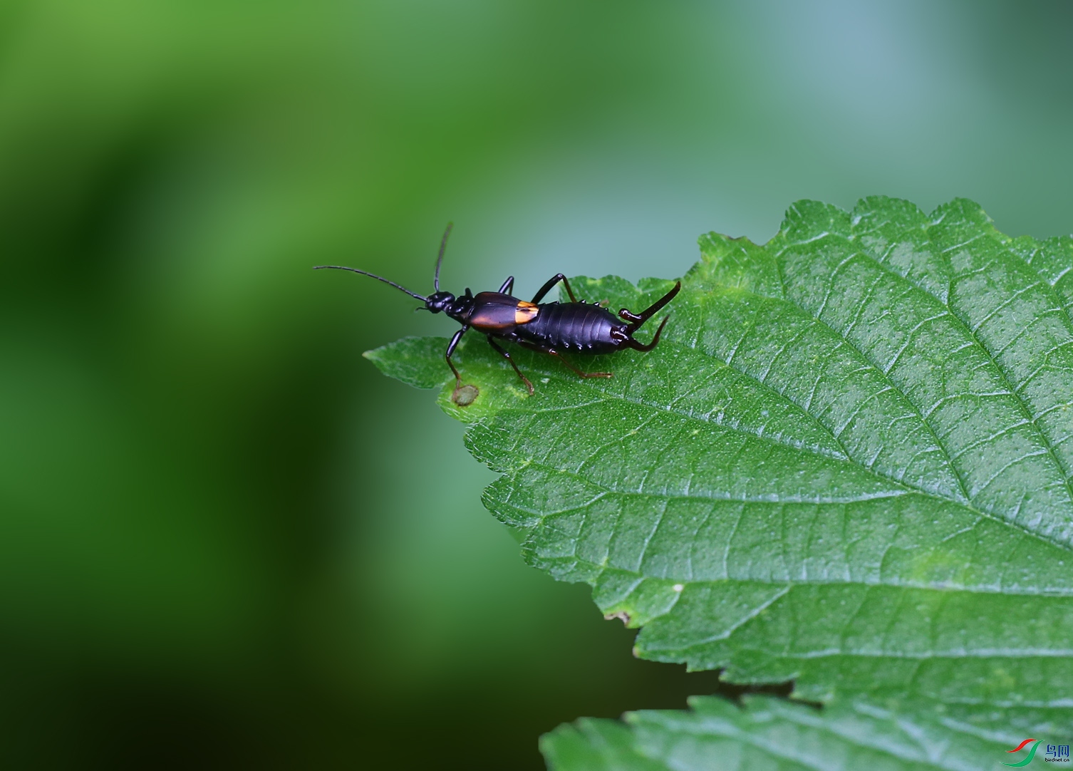 00004677����ǯ�� 500k0.jpg