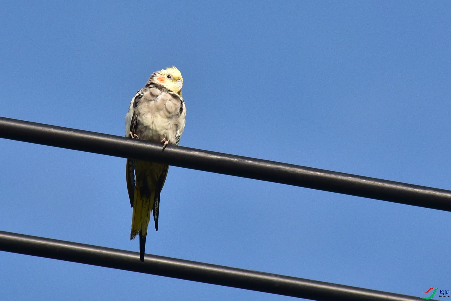 DSC_0762.JPG