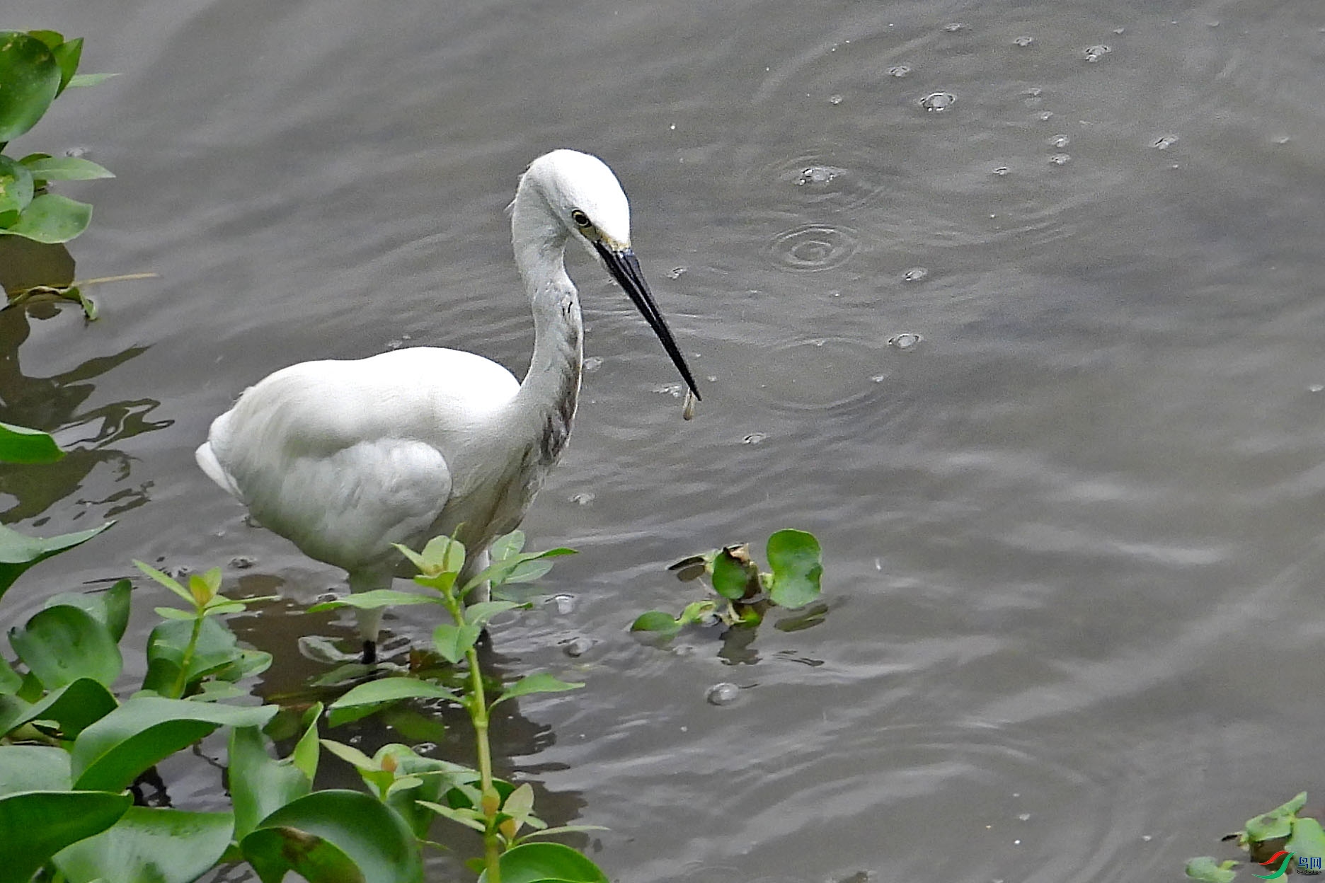 DSCN5786.jpg