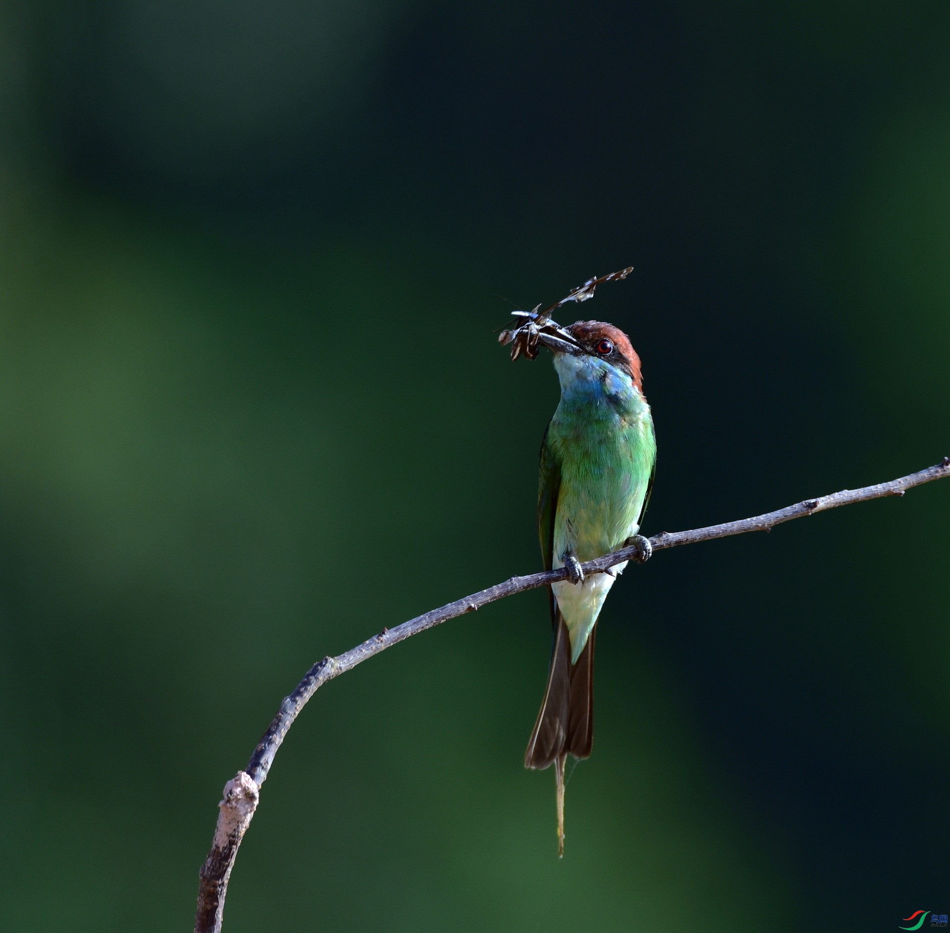 D8I_8315.jpg