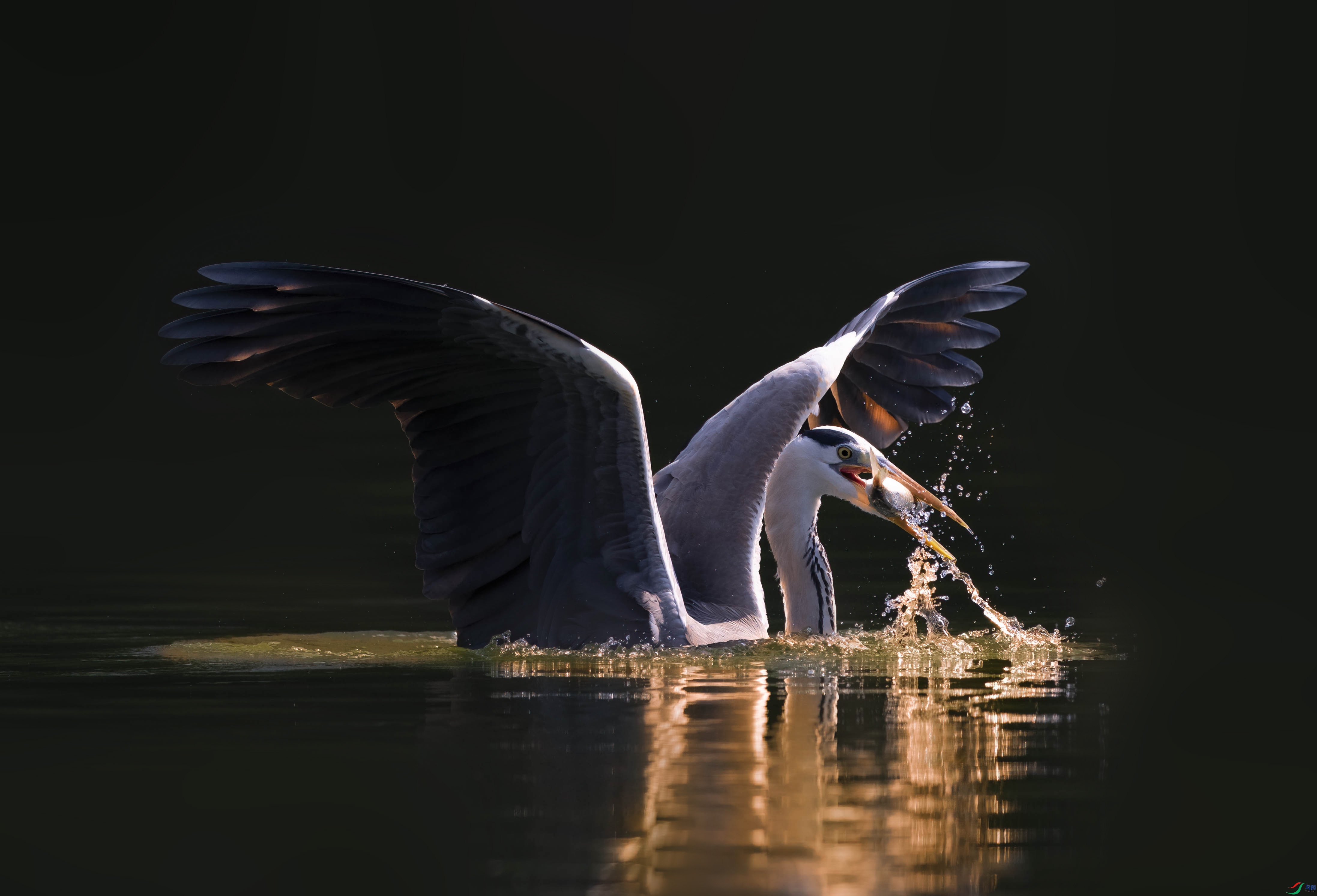 DSC_4689 ���� 2.jpg