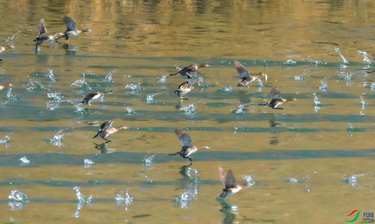 011635vfg57gwmww8mggp6 (1).jpg