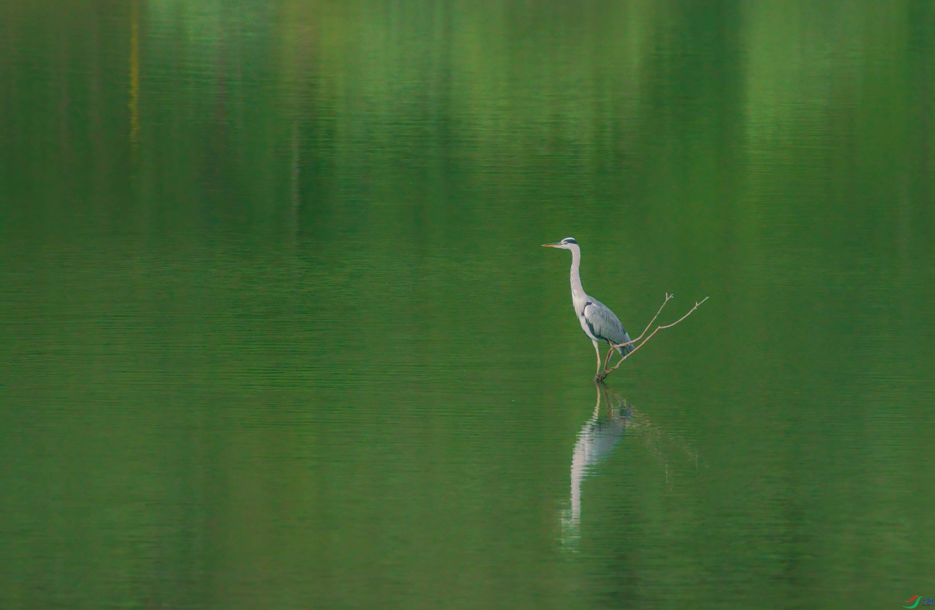DSC02166aa-1-denoise-denoise.jpg