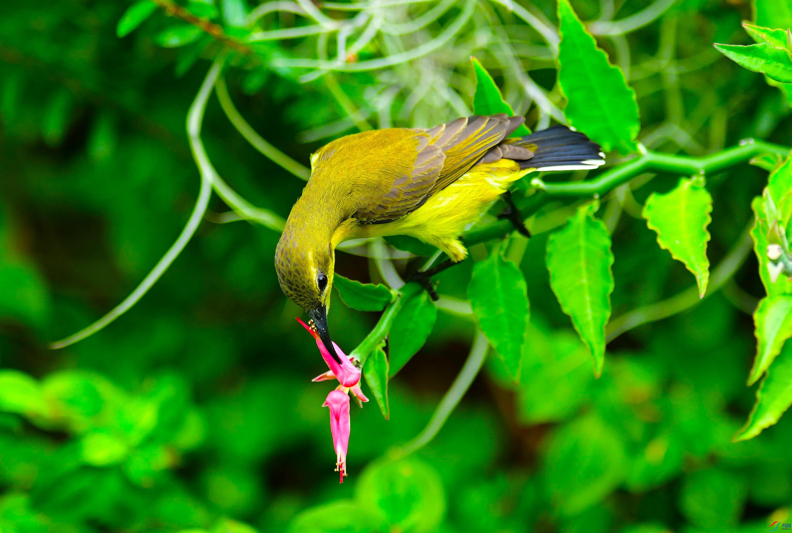 DSC_2744.JPG