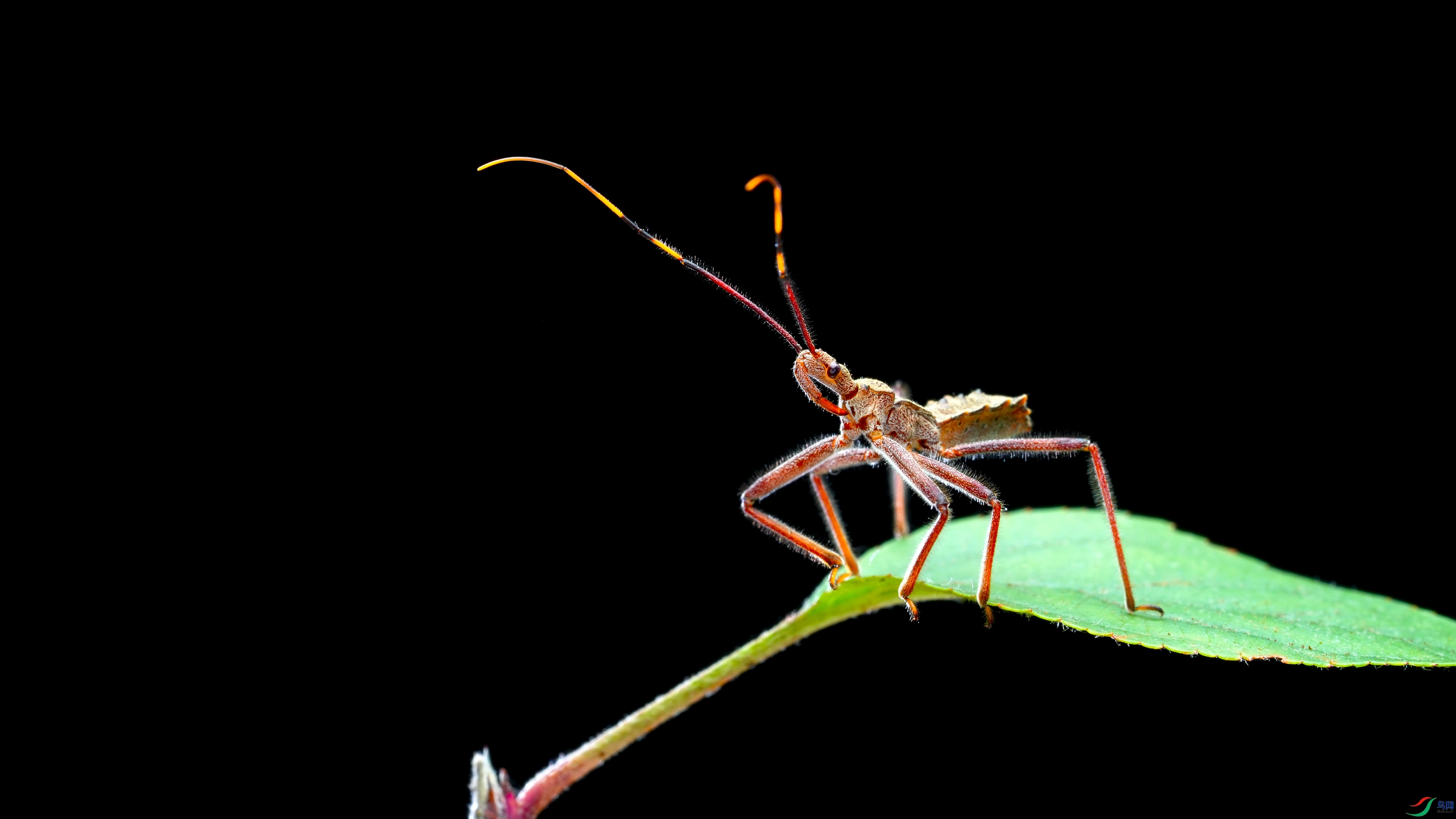 DSC04453-1.jpg