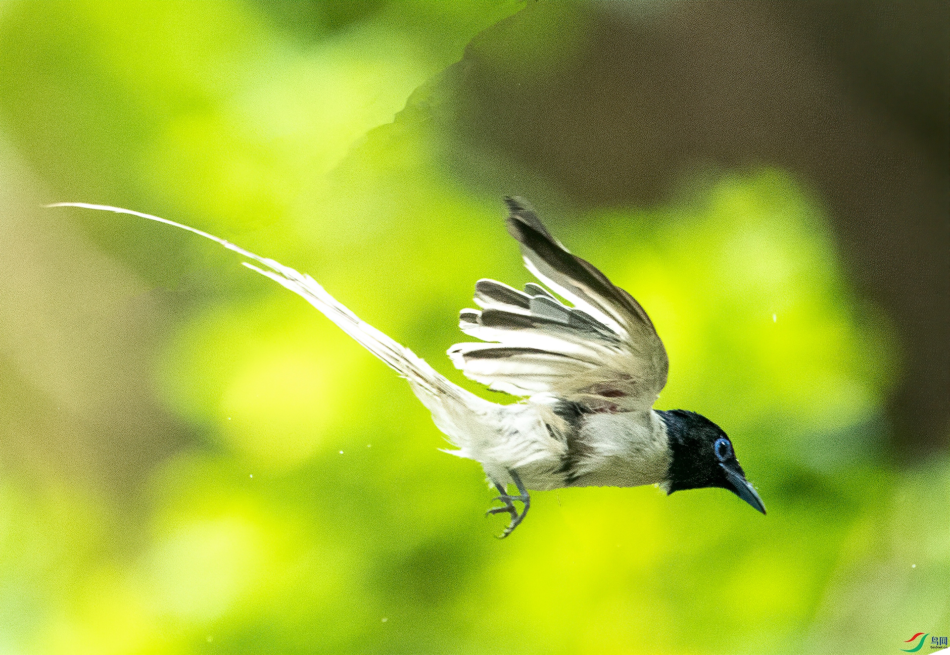 DSC_8381.jpg