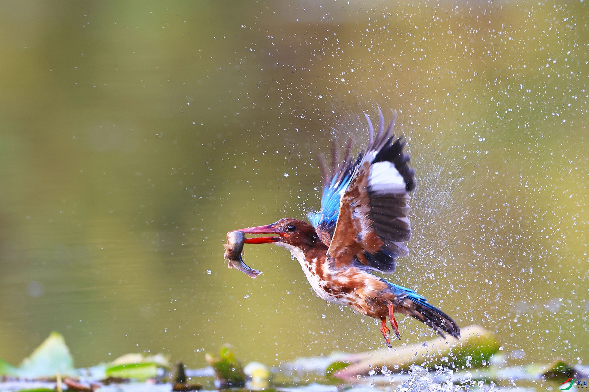 5F7A0879 - ����.jpg