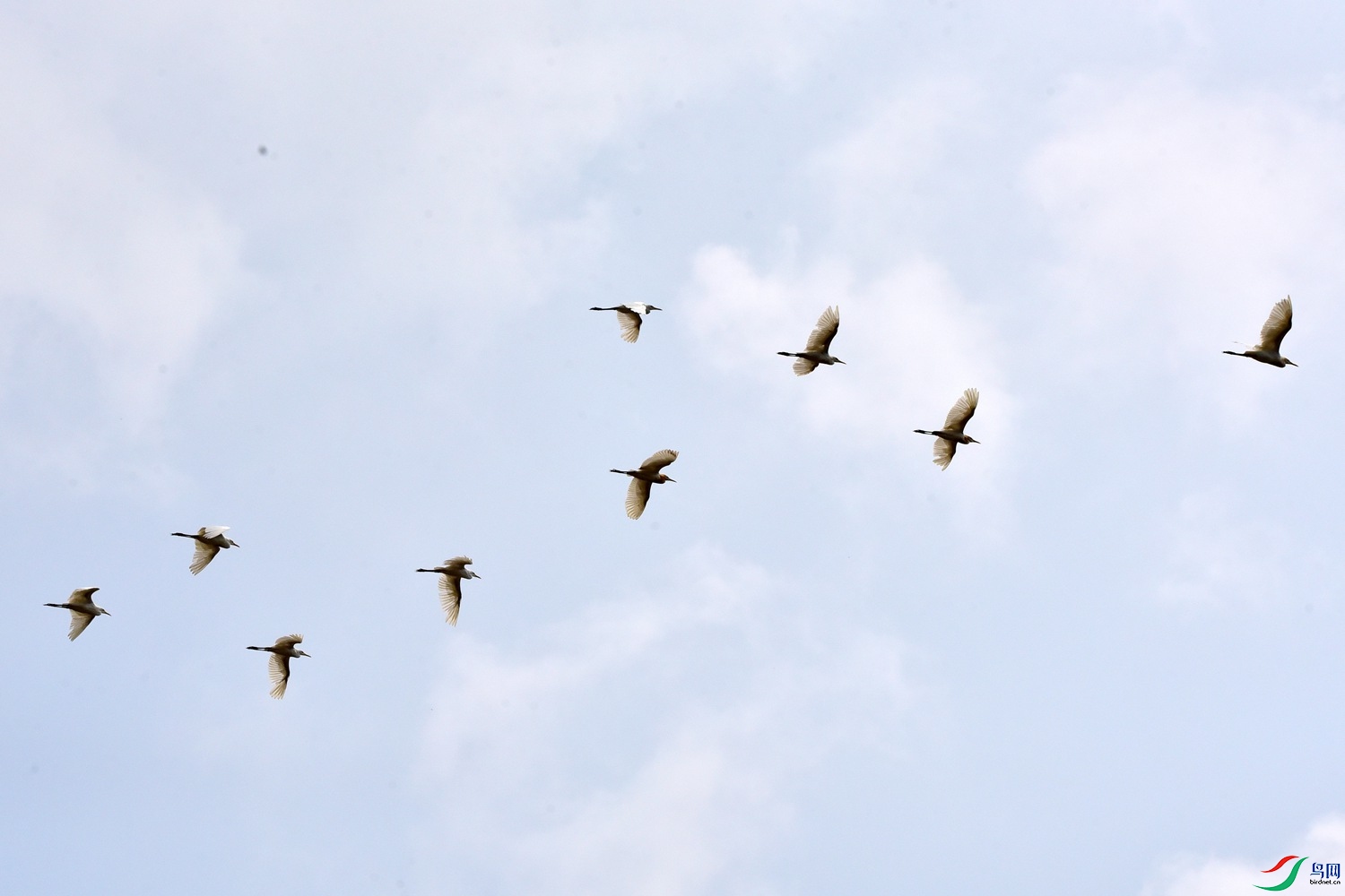 DSC_0350.JPG