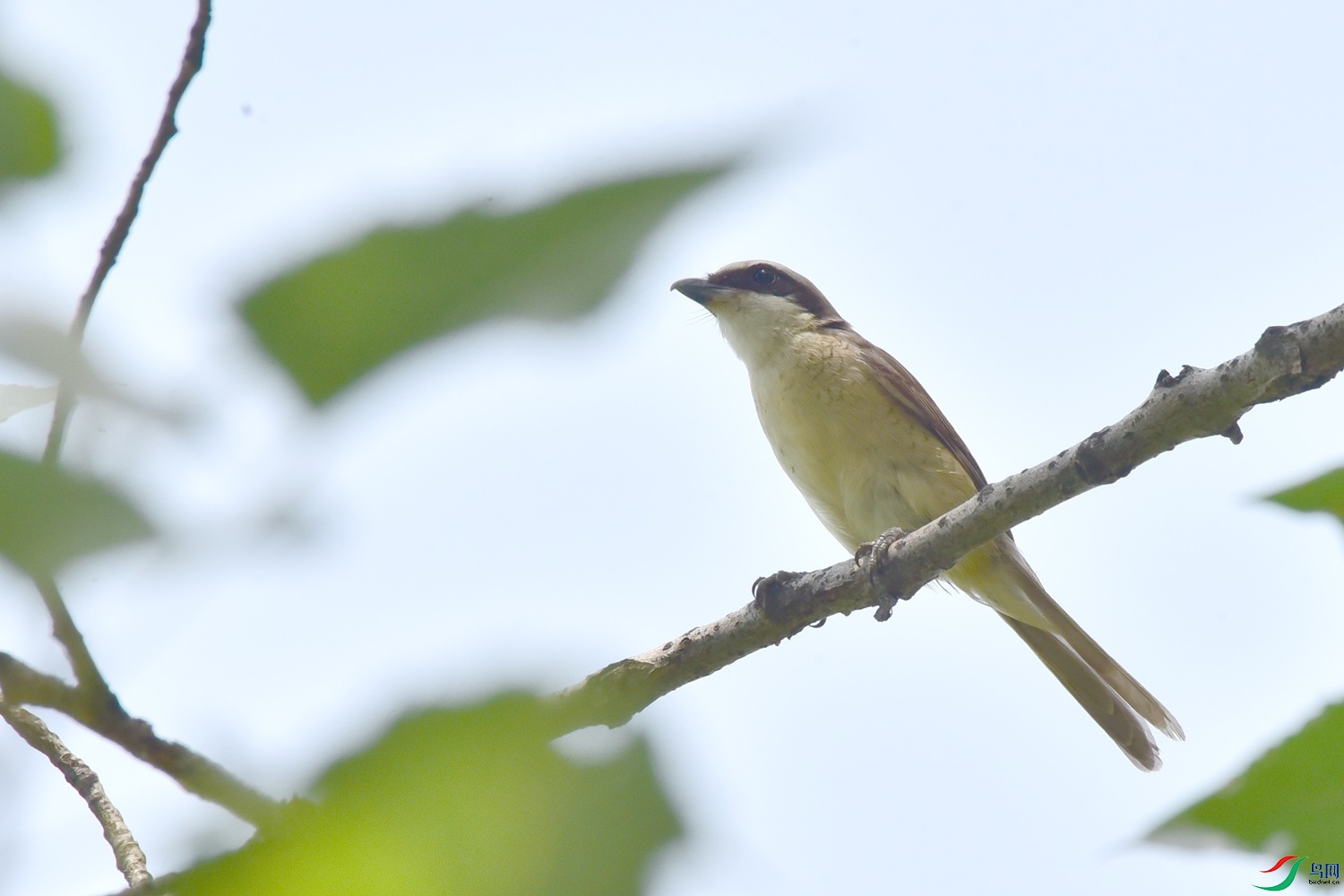 DSC_0186.JPG