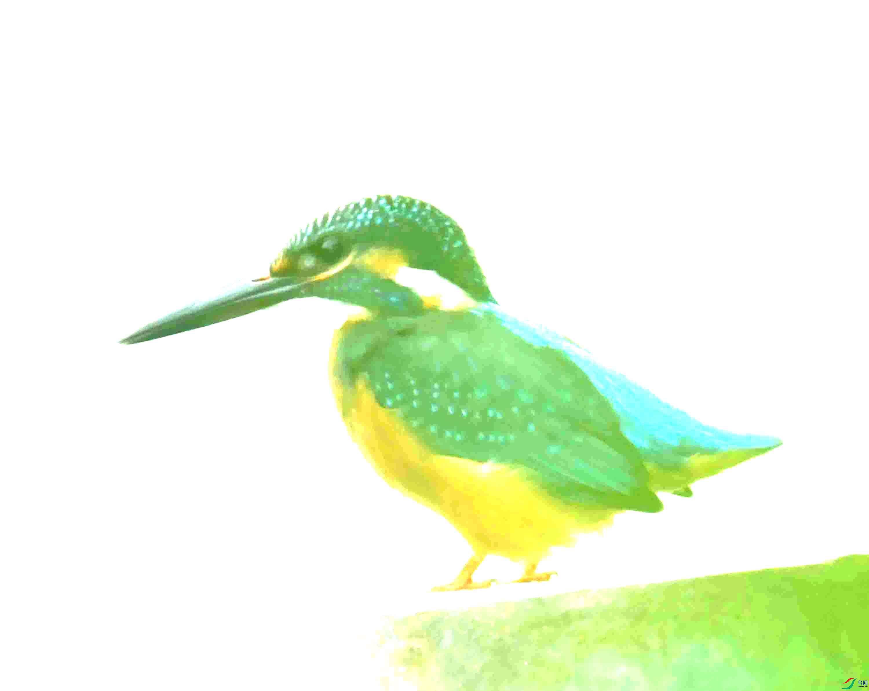 DSC_0180.JPG