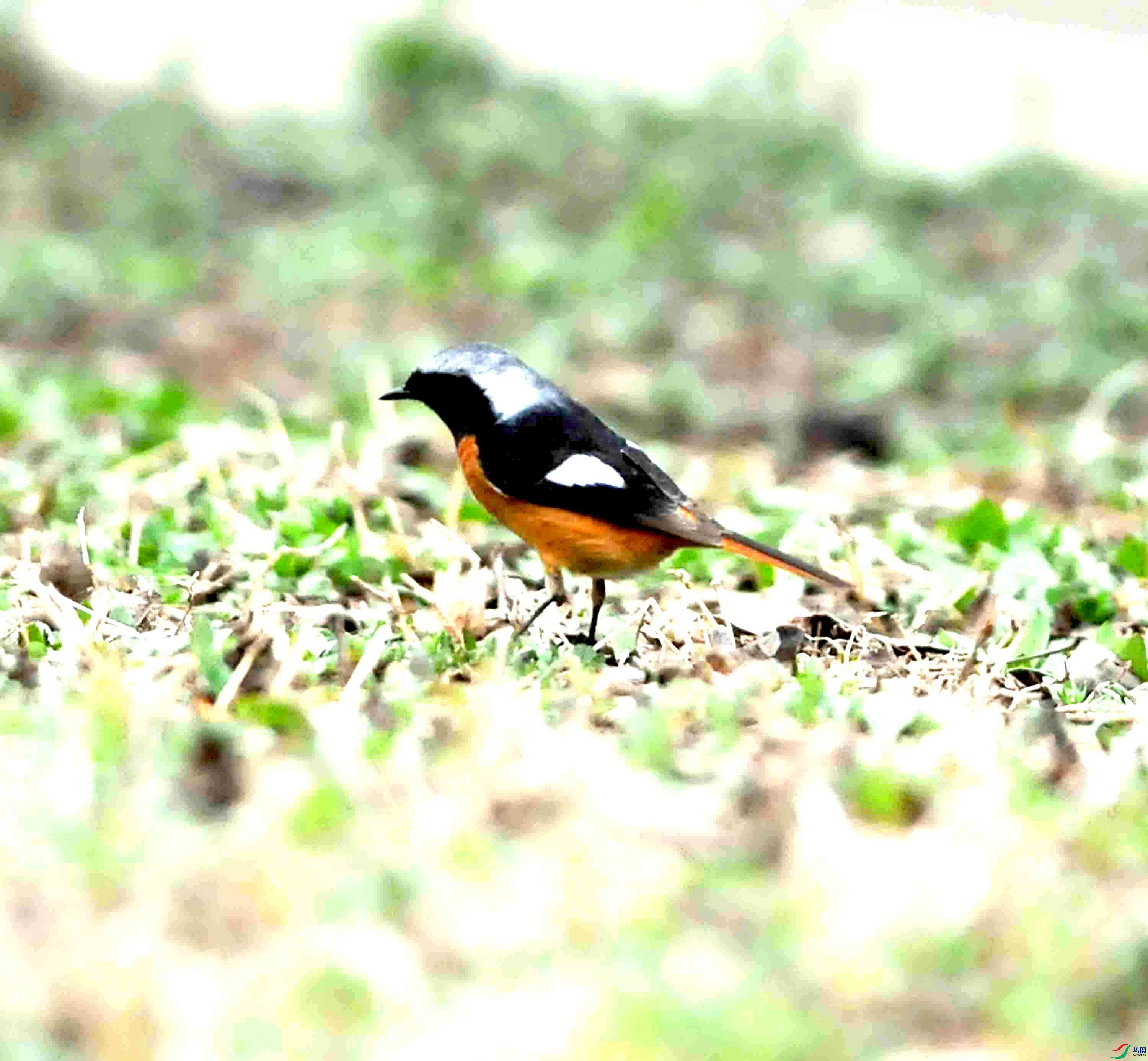 DSC_7142.JPG