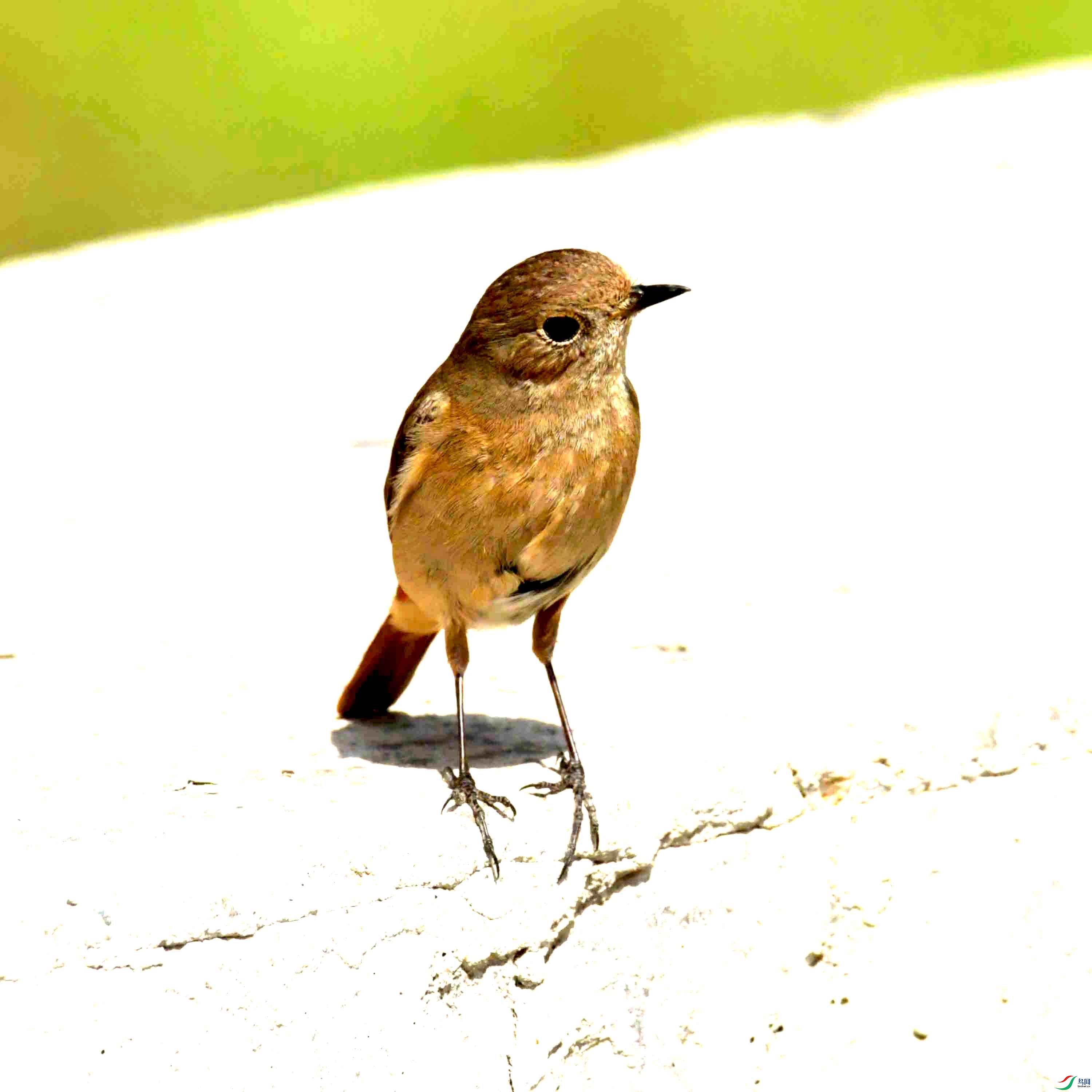 DSC_7792.JPG