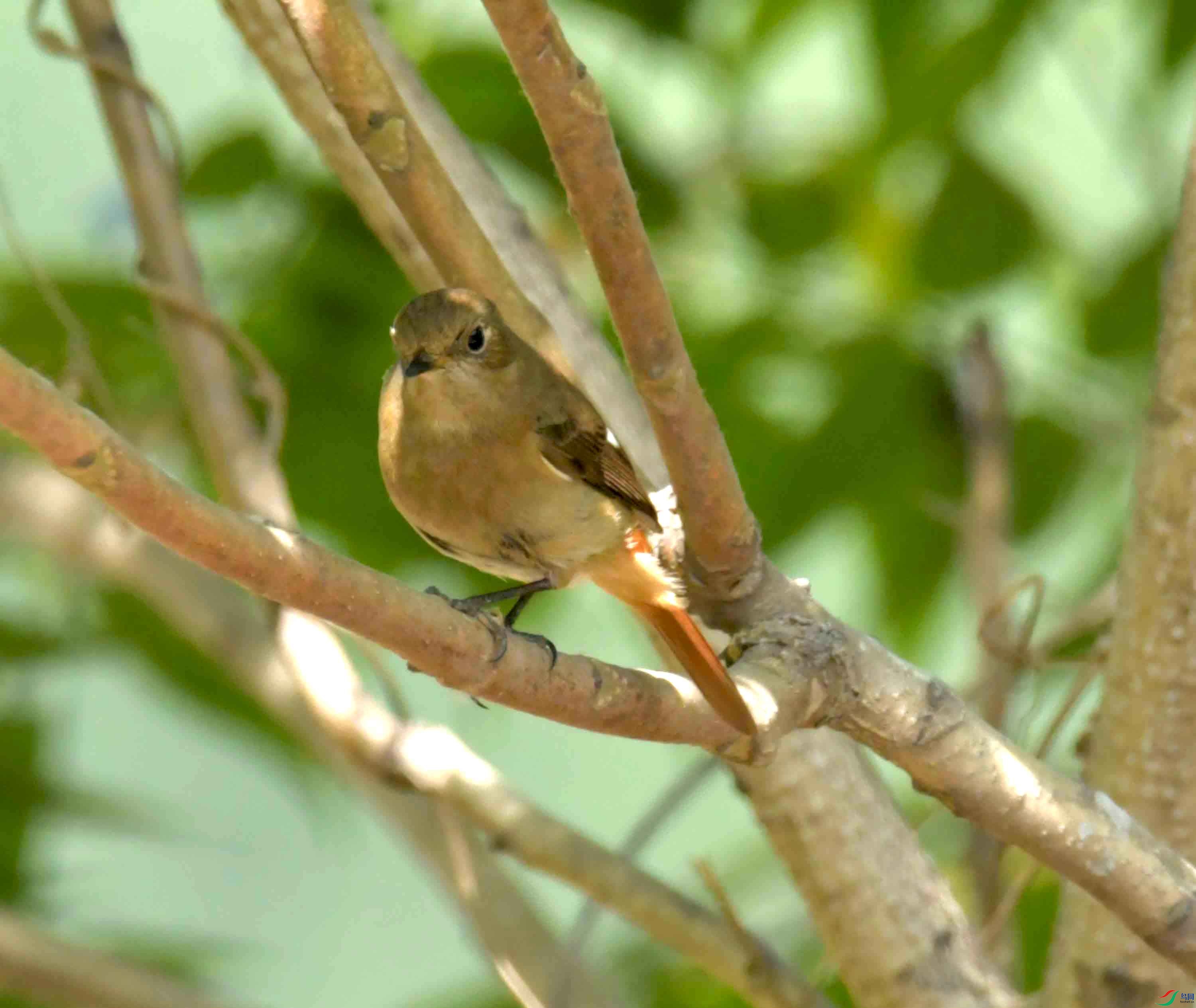 DSC_7787.JPG