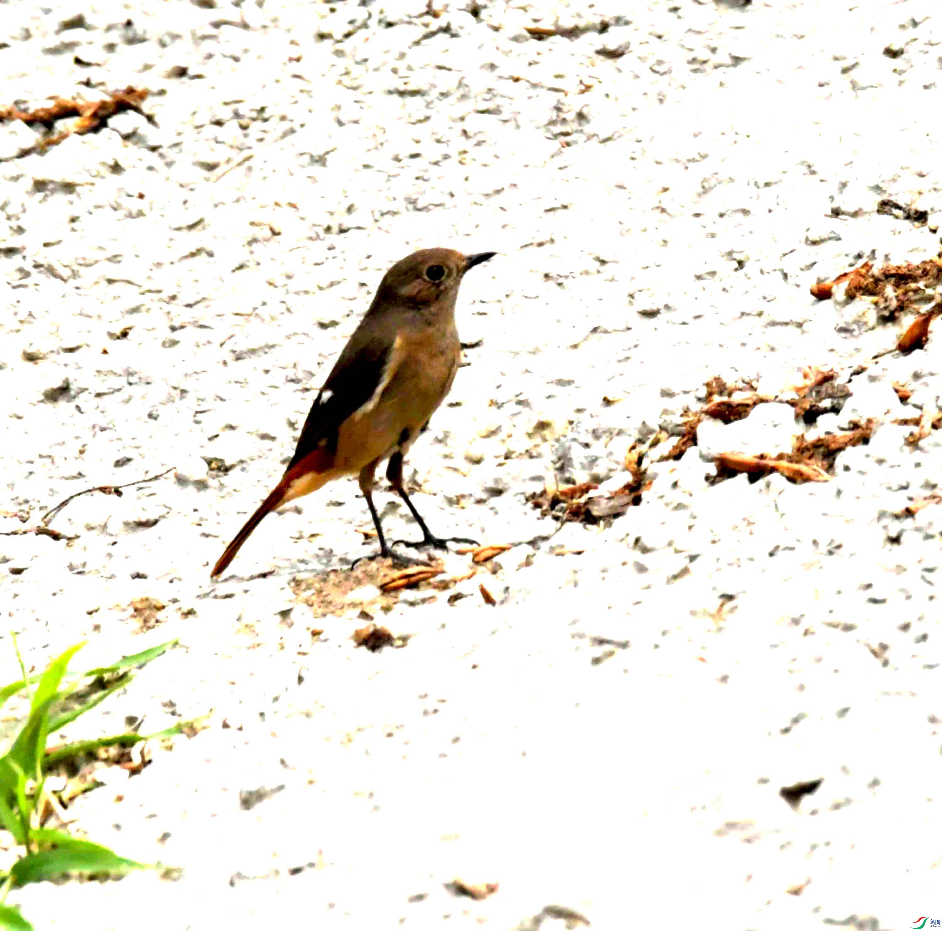 DSC_7908.JPG