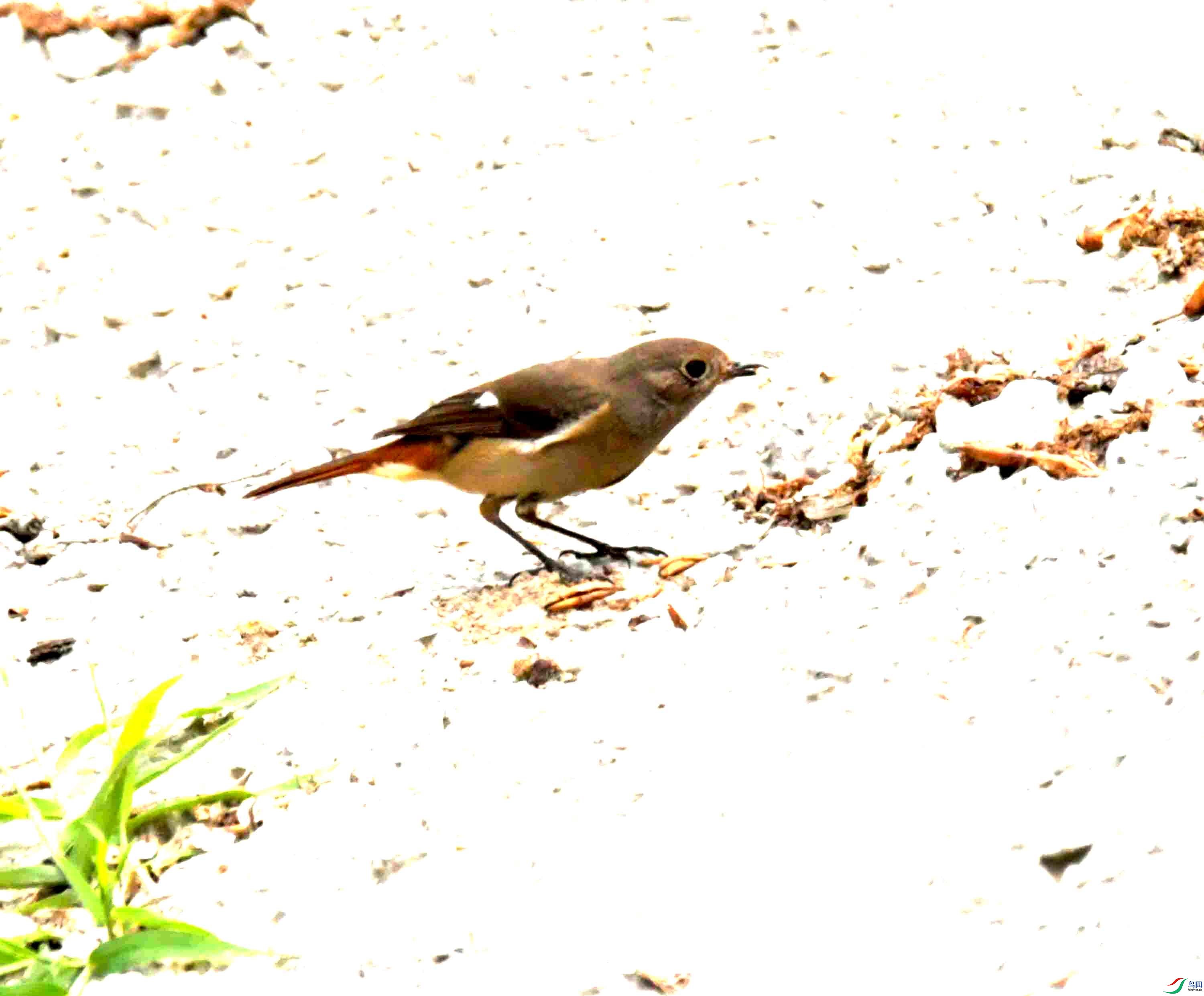 DSC_7906.JPG
