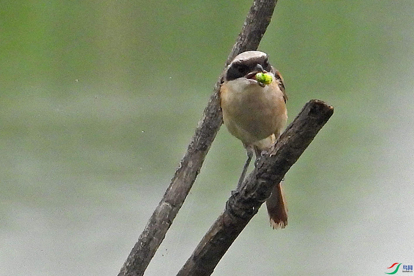 DSCN5815.jpg