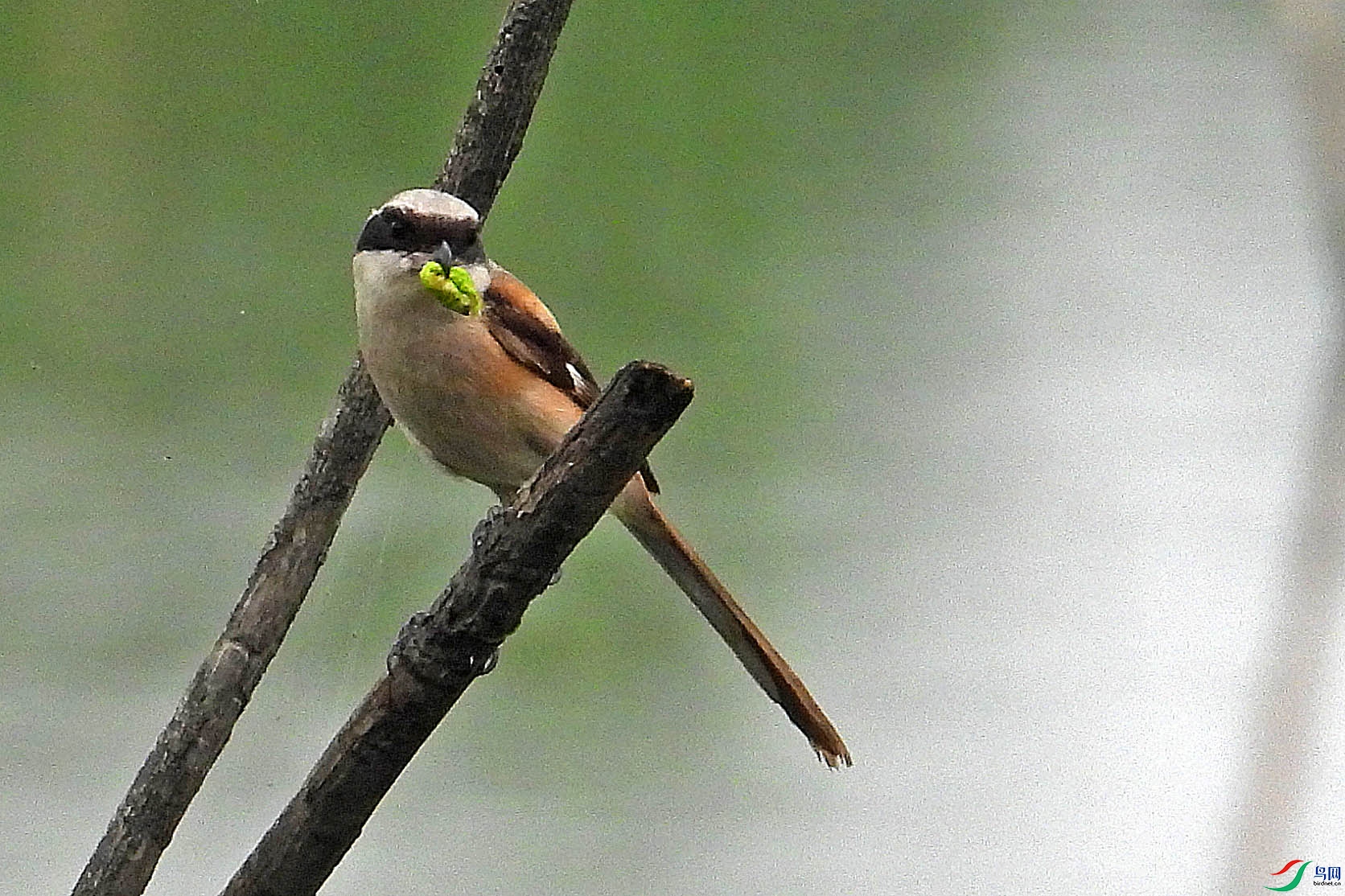 DSCN5810.jpg